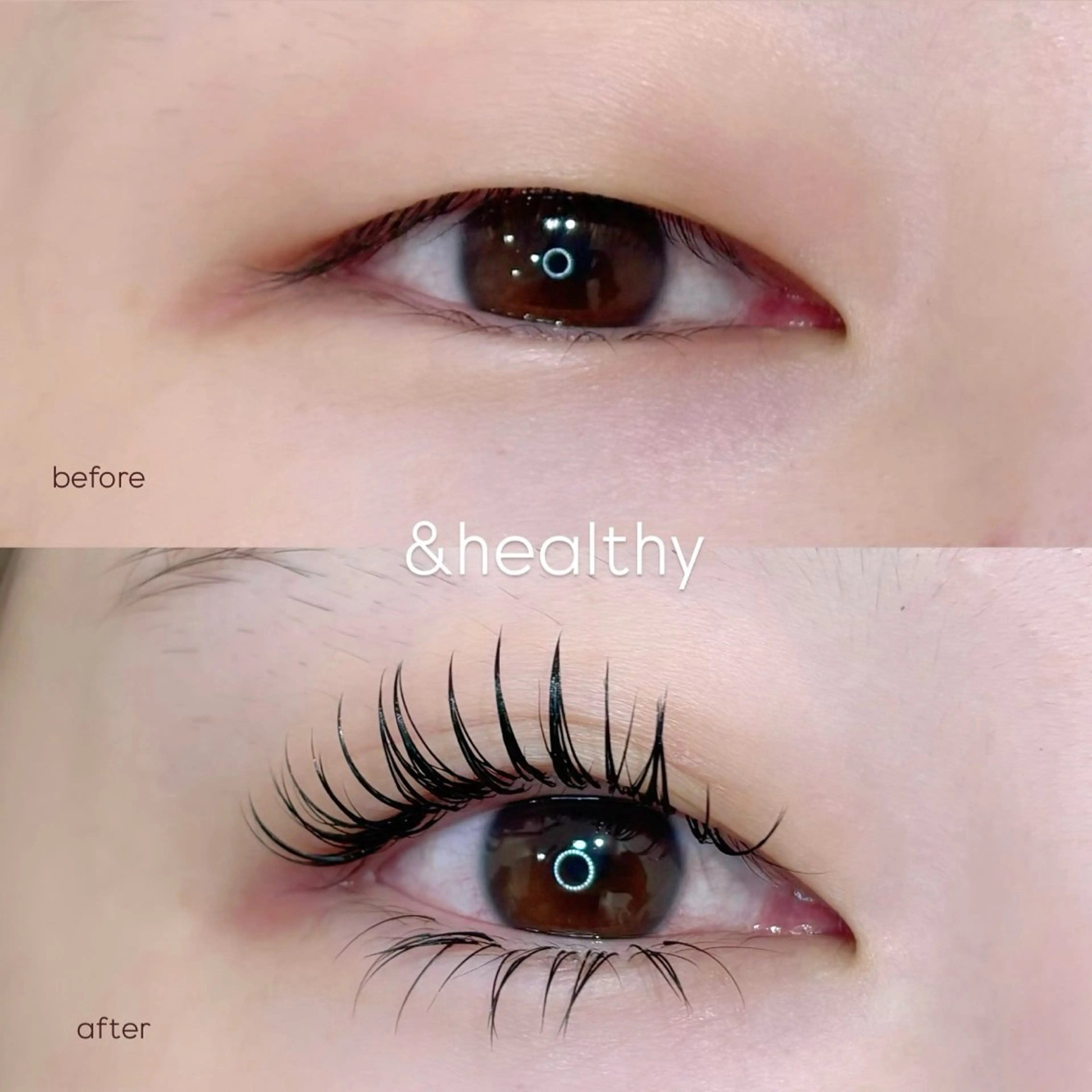 【NEW】次世代パリエク✨&Healthy✨(エク+パリ)フラットマットラッシュ 60本｜付け足し不可｜オフ無料の写真