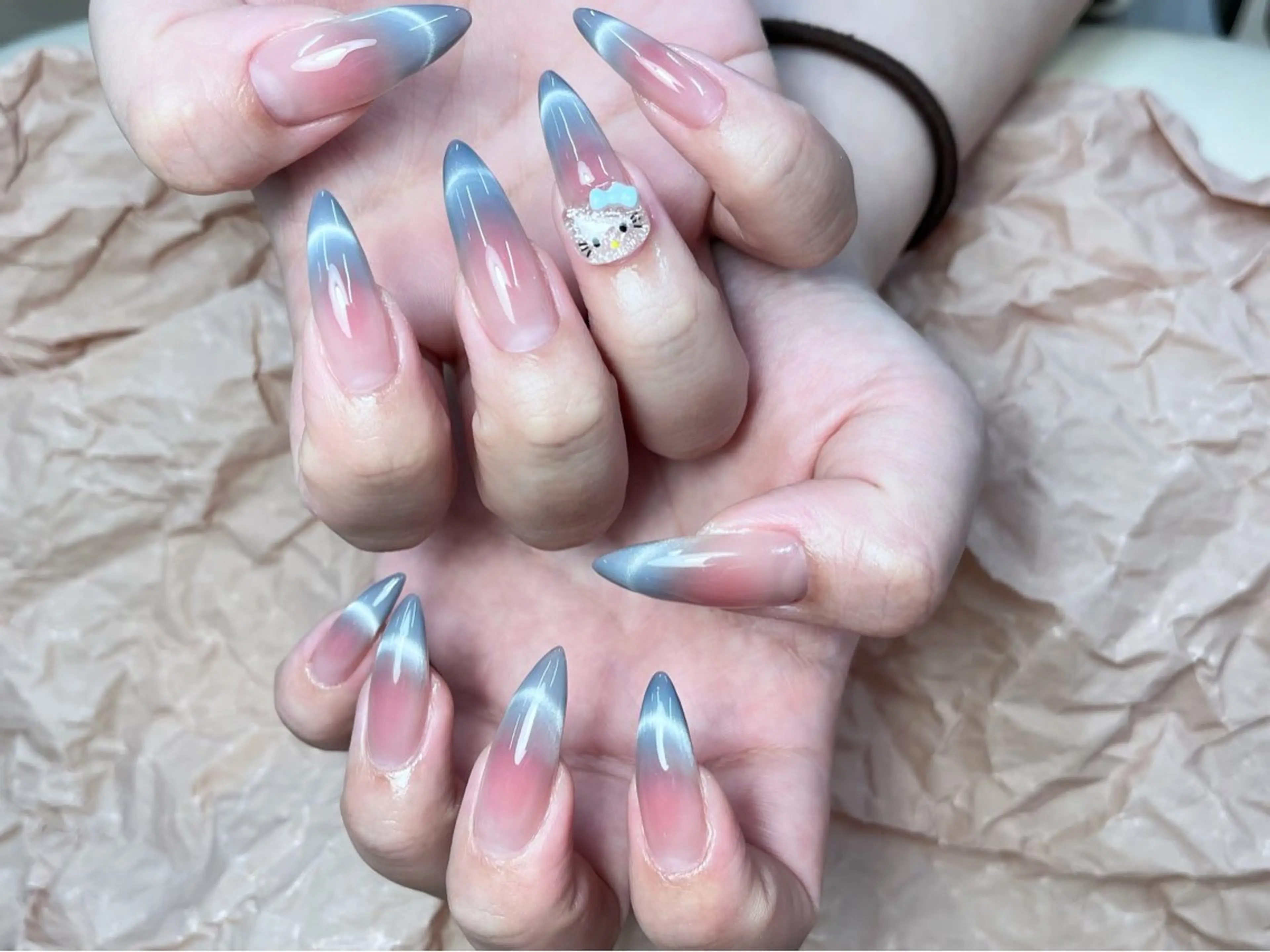 ネイル チークネイル マグネットネイル ToliyDeliy Nail Salonのネイルデザイン