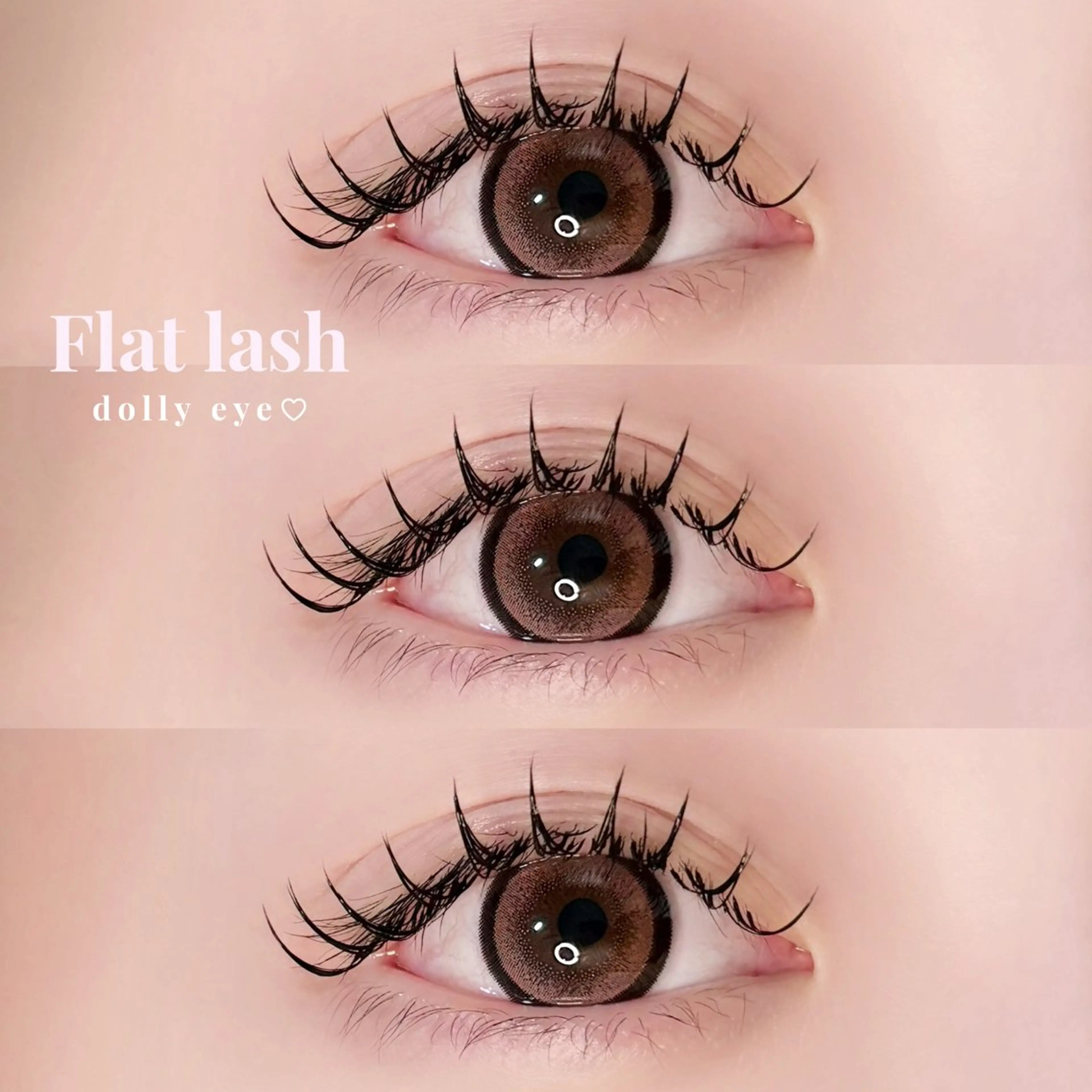 【1月8日13:30~空きあり！】🌟フラットラッシュ　100本~120本　補足説明要確認‼️の写真