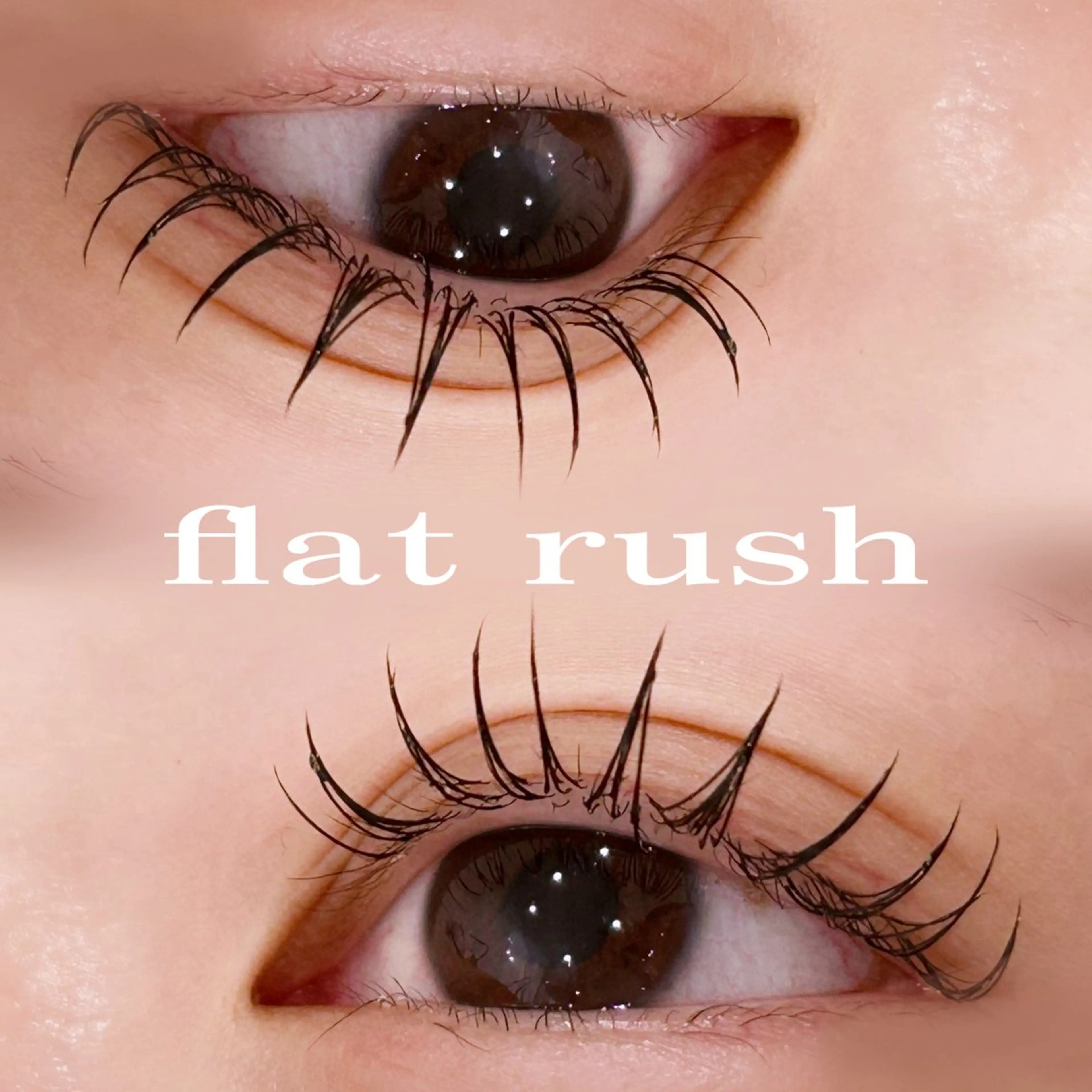 マツエク・マツパ キュート Dカール マツエク 中村 雛里のマツエク・マツパデザイン