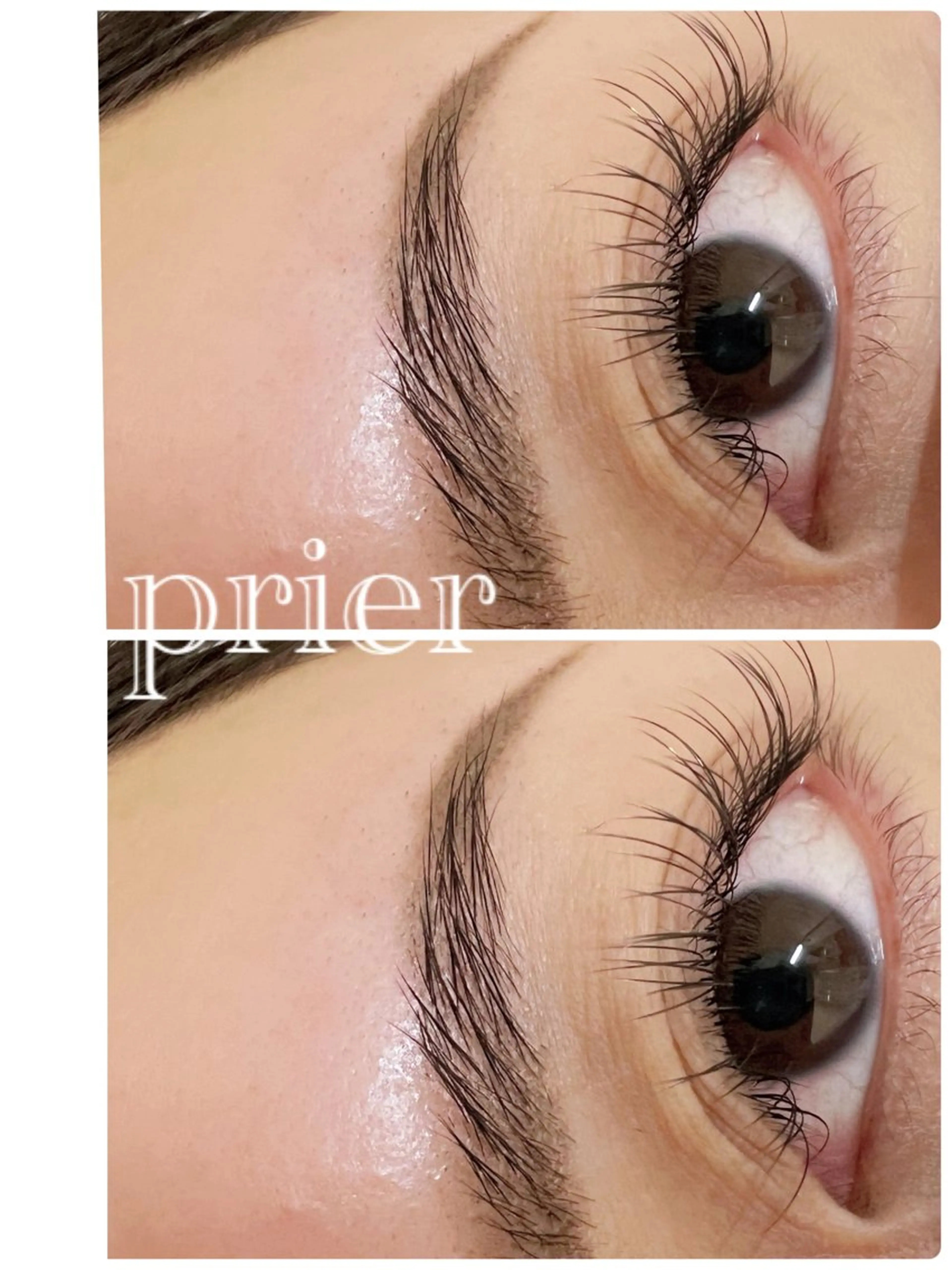 【オフ込】まつげエクステ🤍セーブルorフラットラッシュ80本＊コーティング付き＊の写真