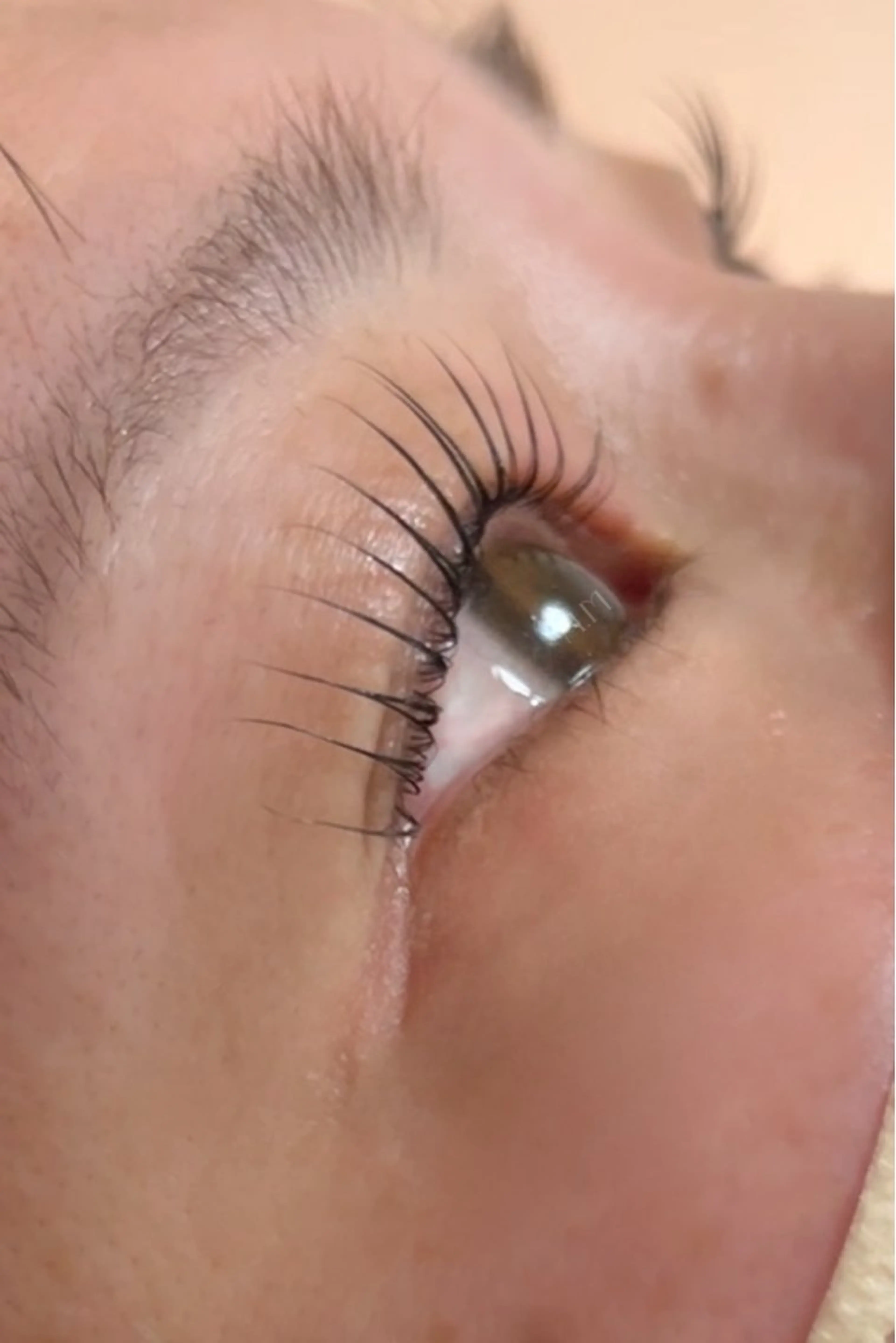 マツエク・マツパ Cattleya所属・morisaki ＊のマツエク・マツパデザイン