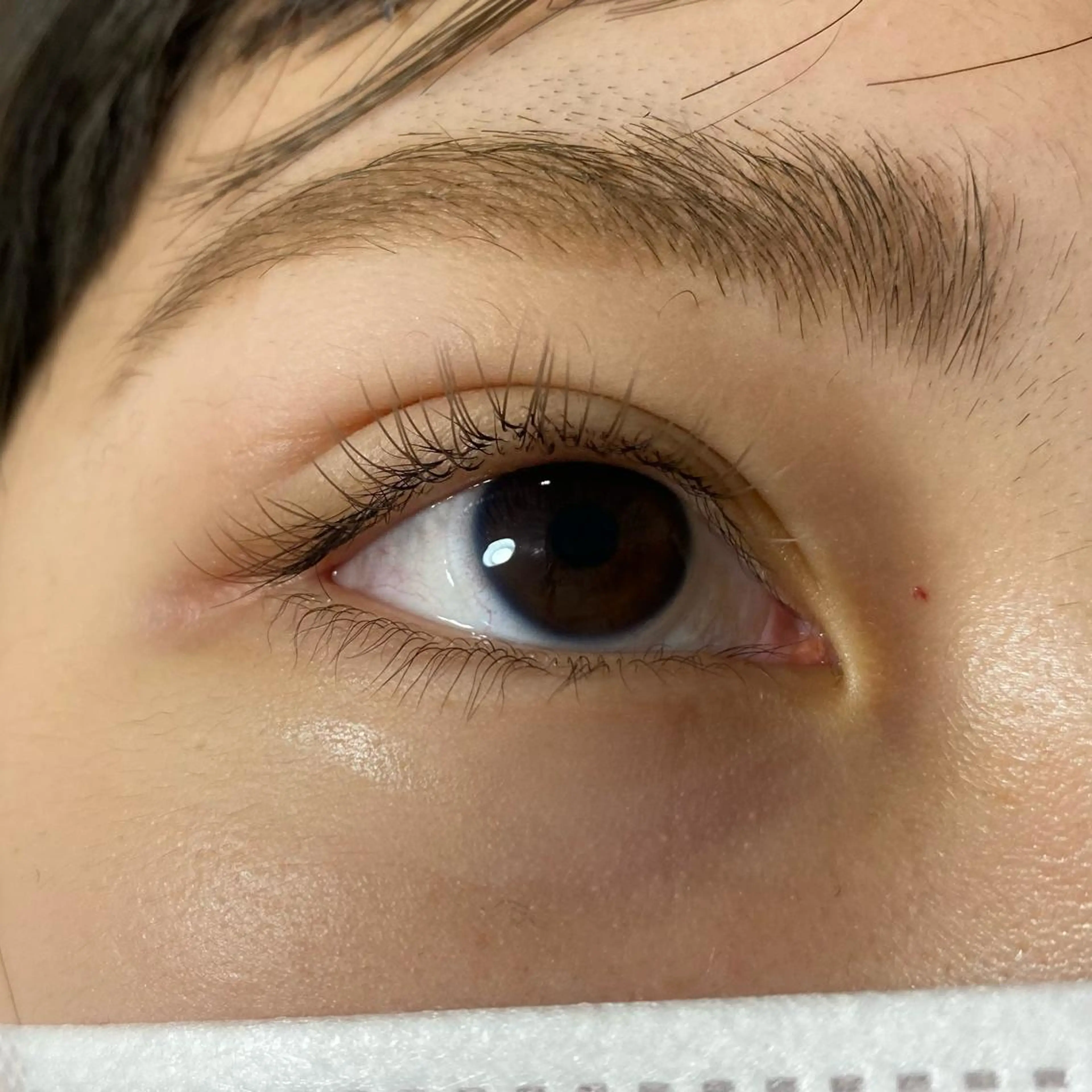 マツエク・マツパ フラットラッシュ ナチュラル マツエク Anmut Luna所属・eyelash Anmut Lunaのマツエク・マツパデザイン