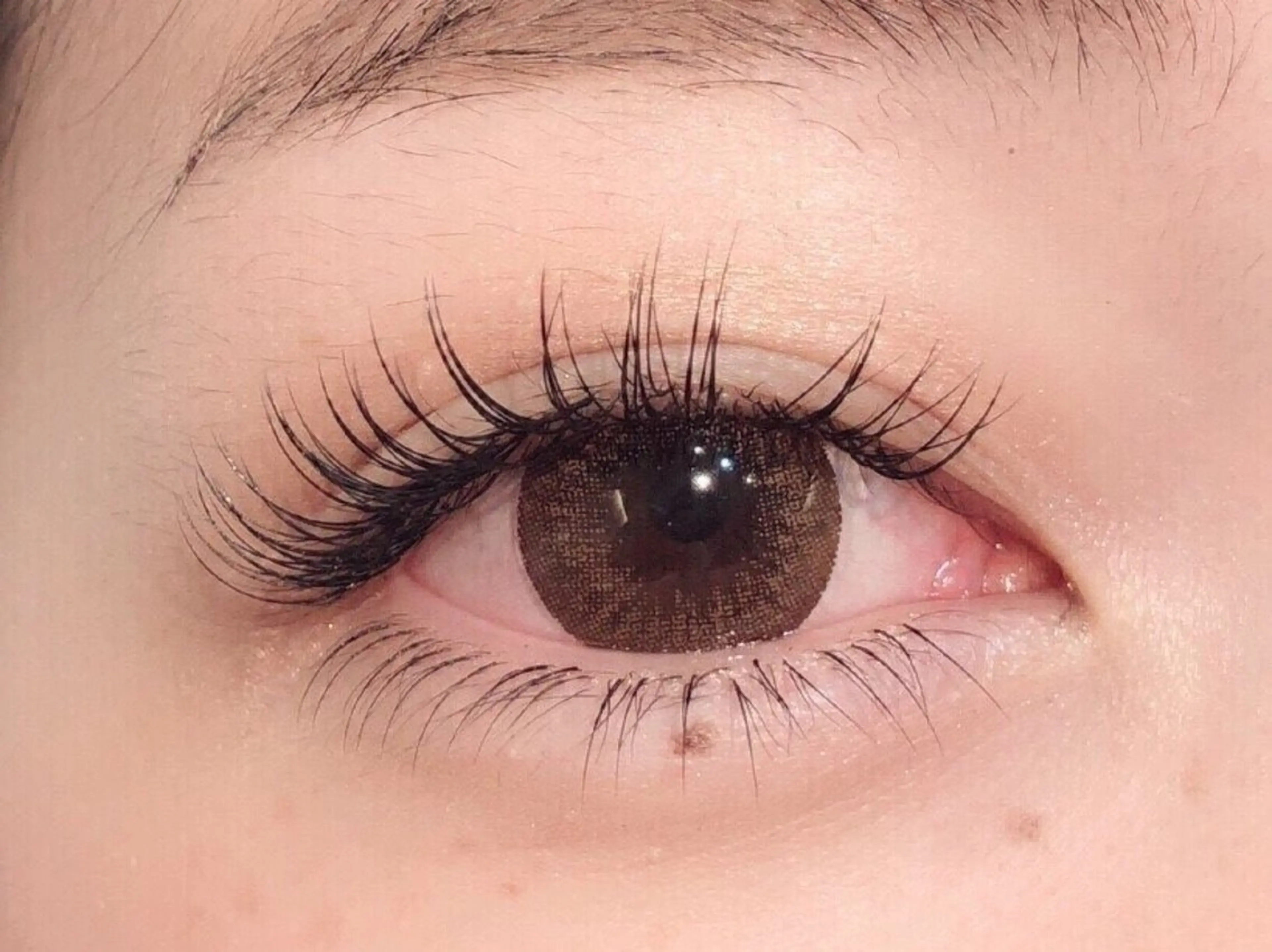 ✨ナチュラルまつ毛✨フラットセーブル80本 コーティングこみの写真