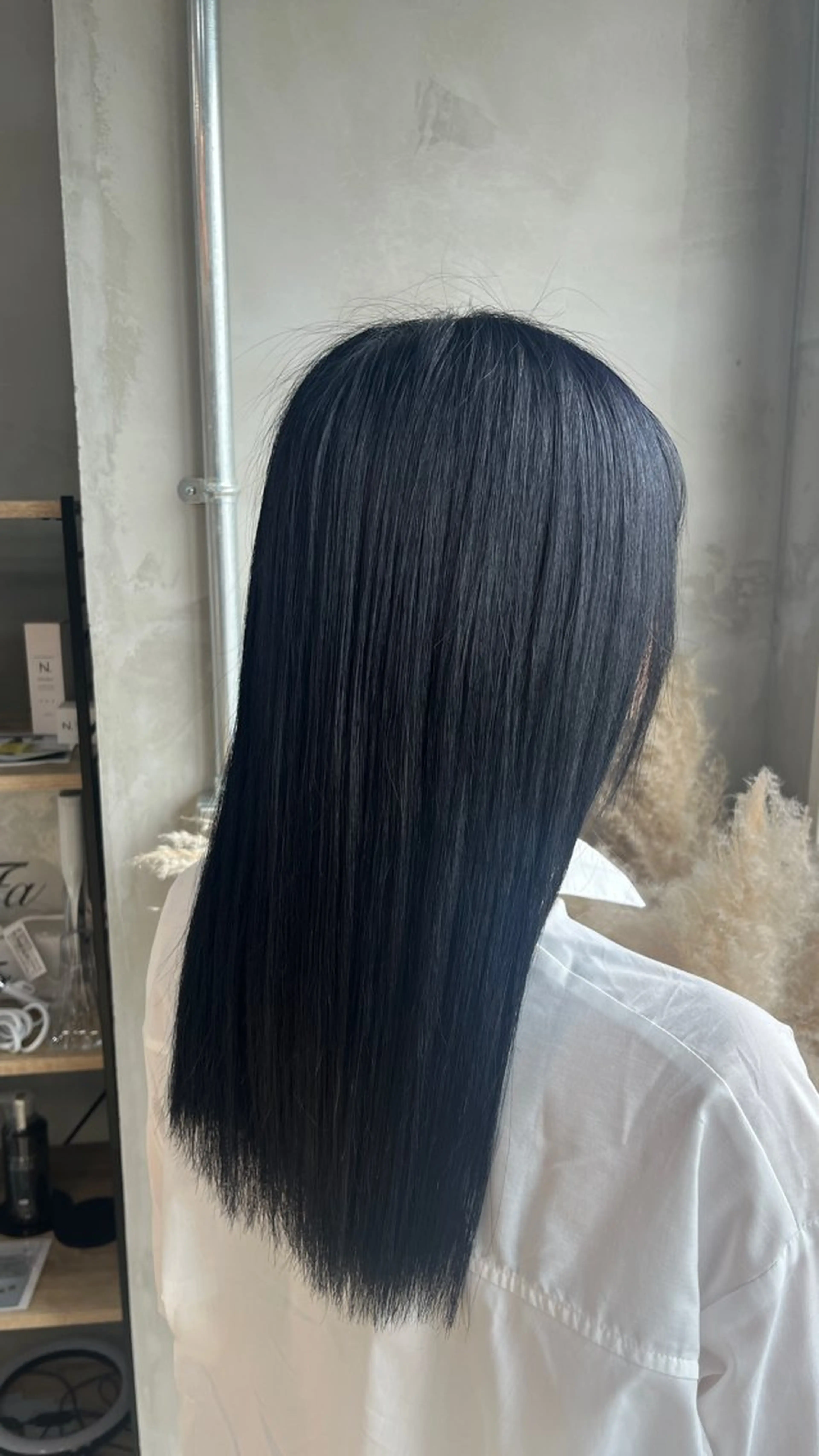 カラー 黒髪 ブルーカラー ブルーブラック 田中 萌のヘアスタイル