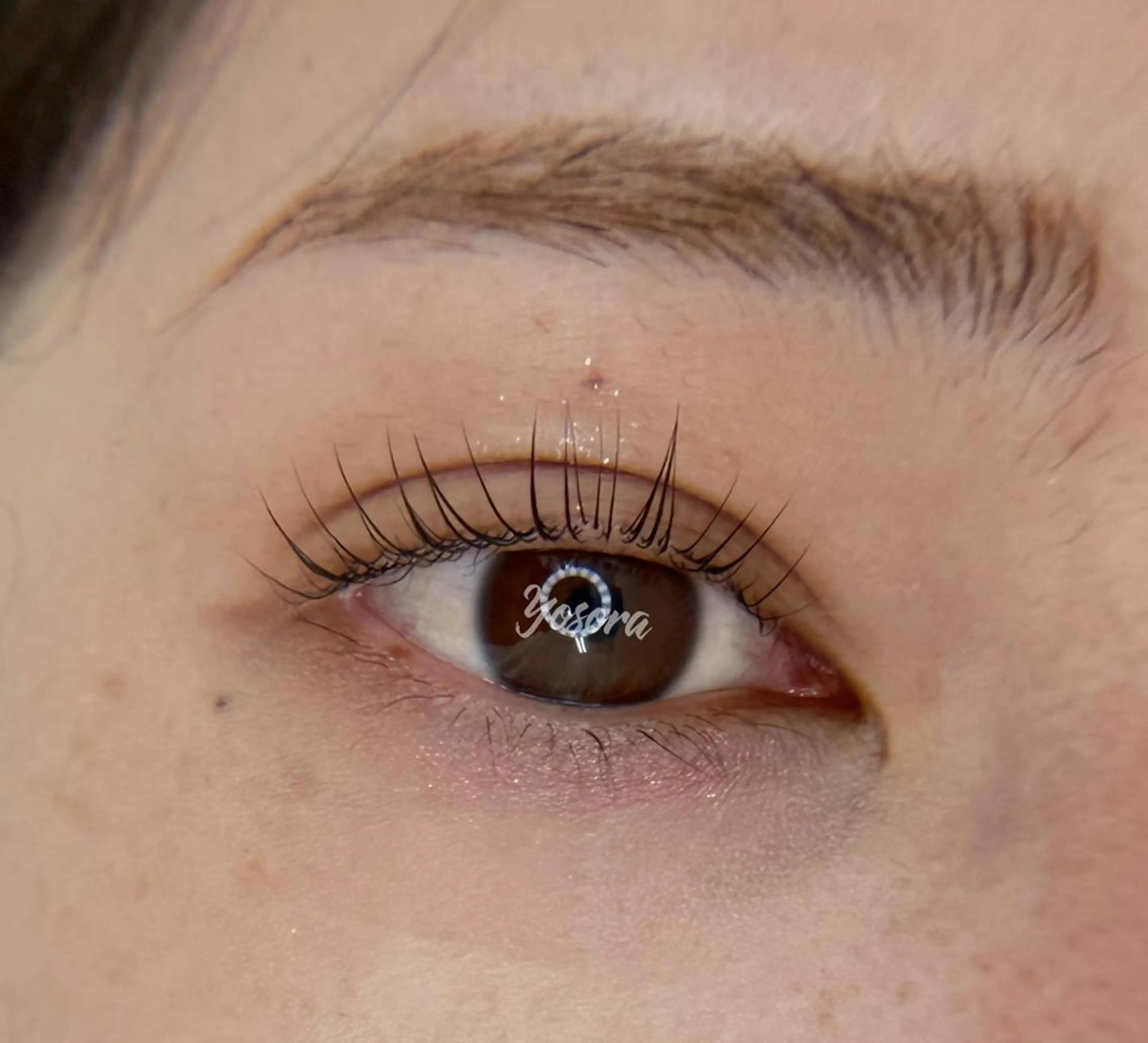 マツエク・マツパ パリジェンヌラッシュリフト マツパ 浅草橋 Yosoraのマツエク・マツパデザイン