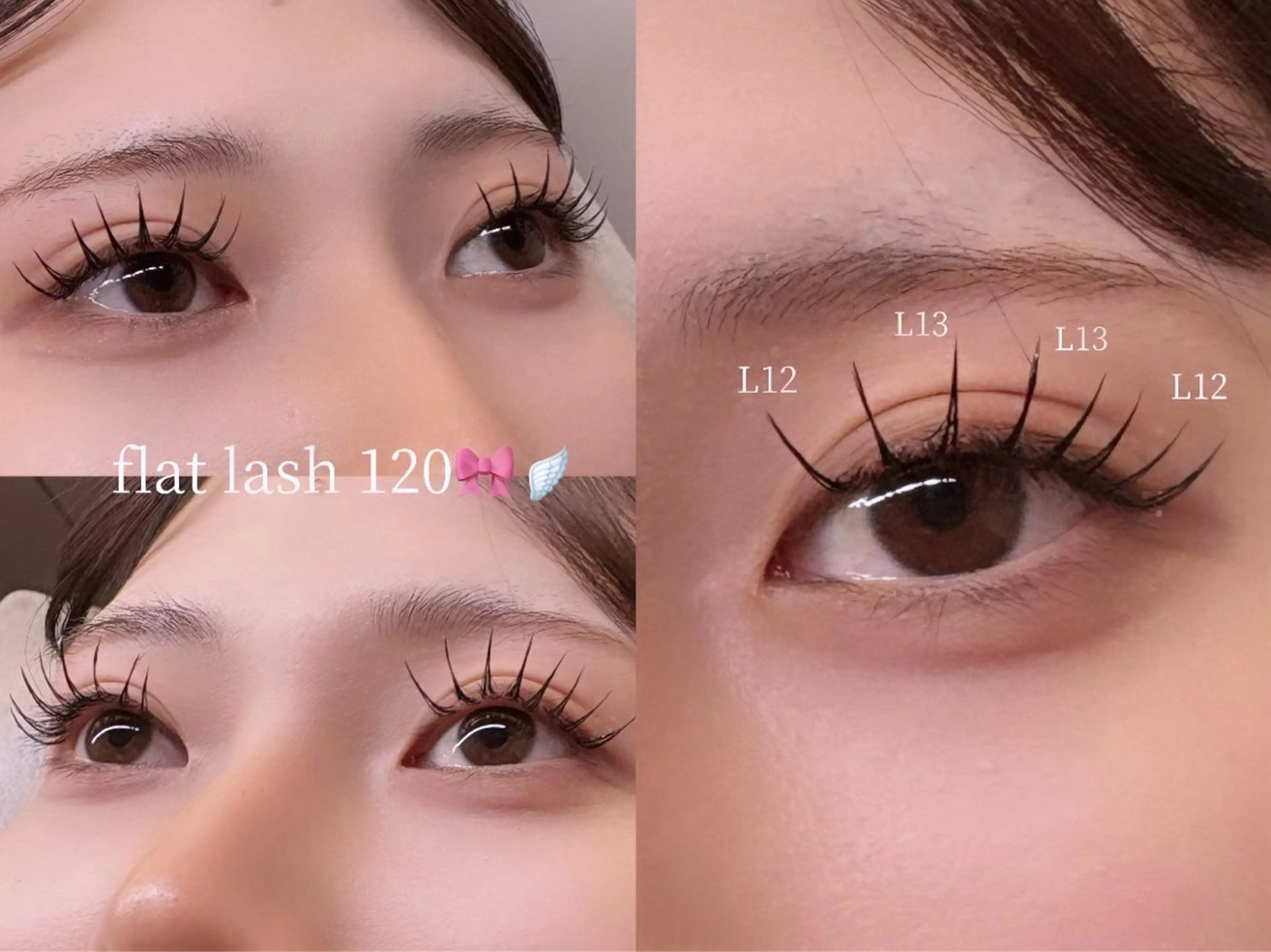 フラットラッシュ120本の写真