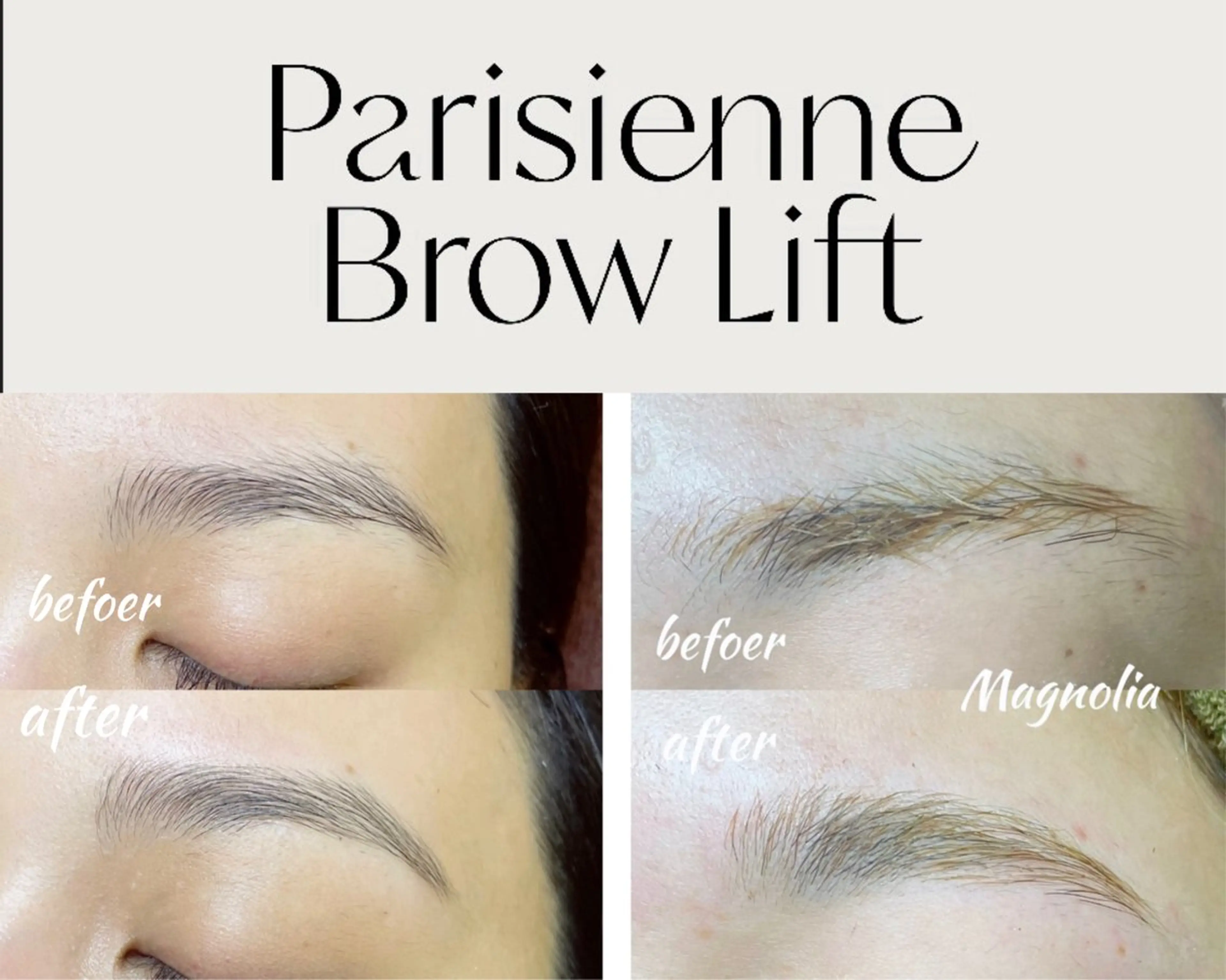 ◎パリブロウの写真