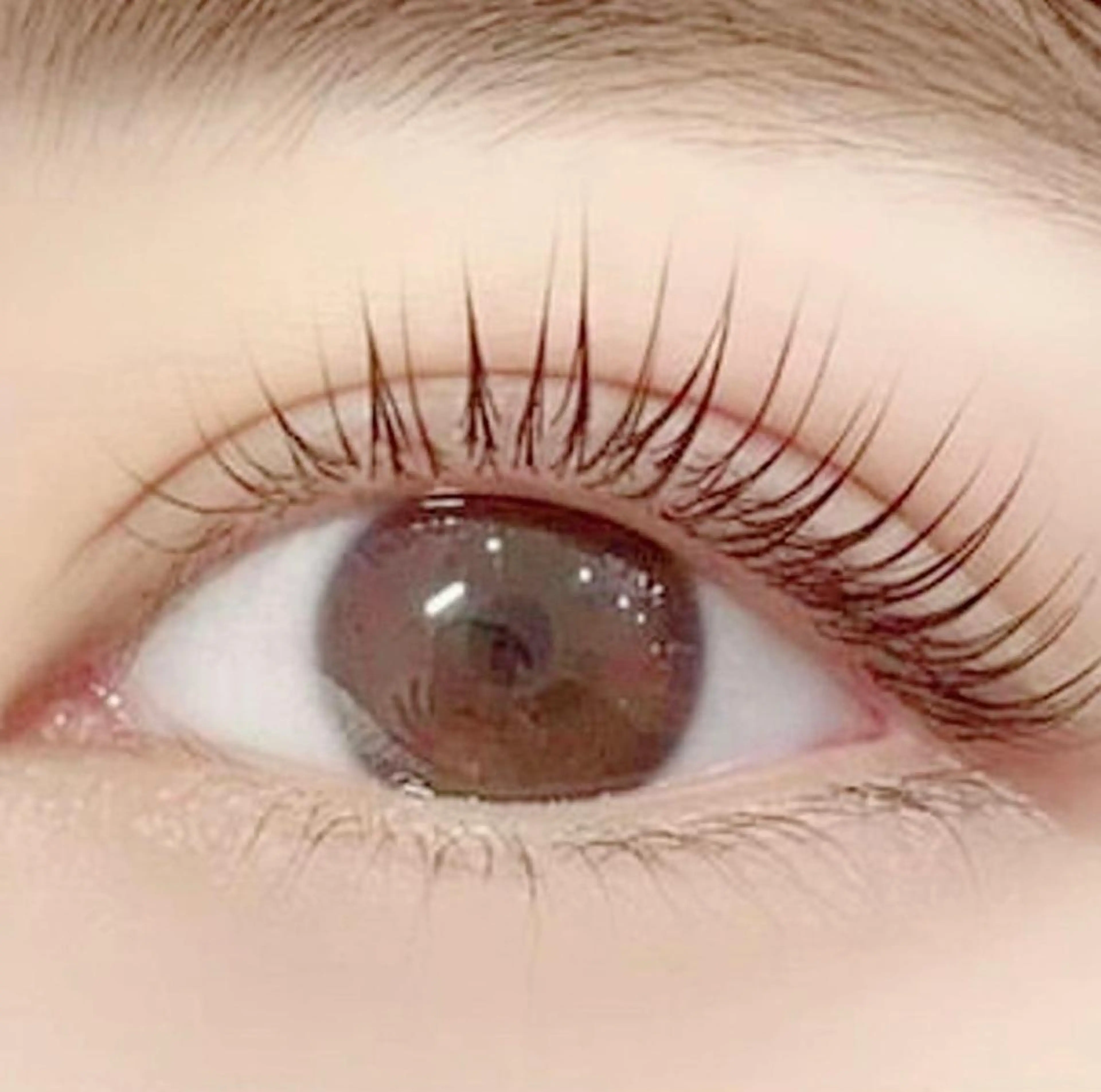 マツエク・マツパ 🌸Leviju桂店 店長Saki🌸のヘアスタイル