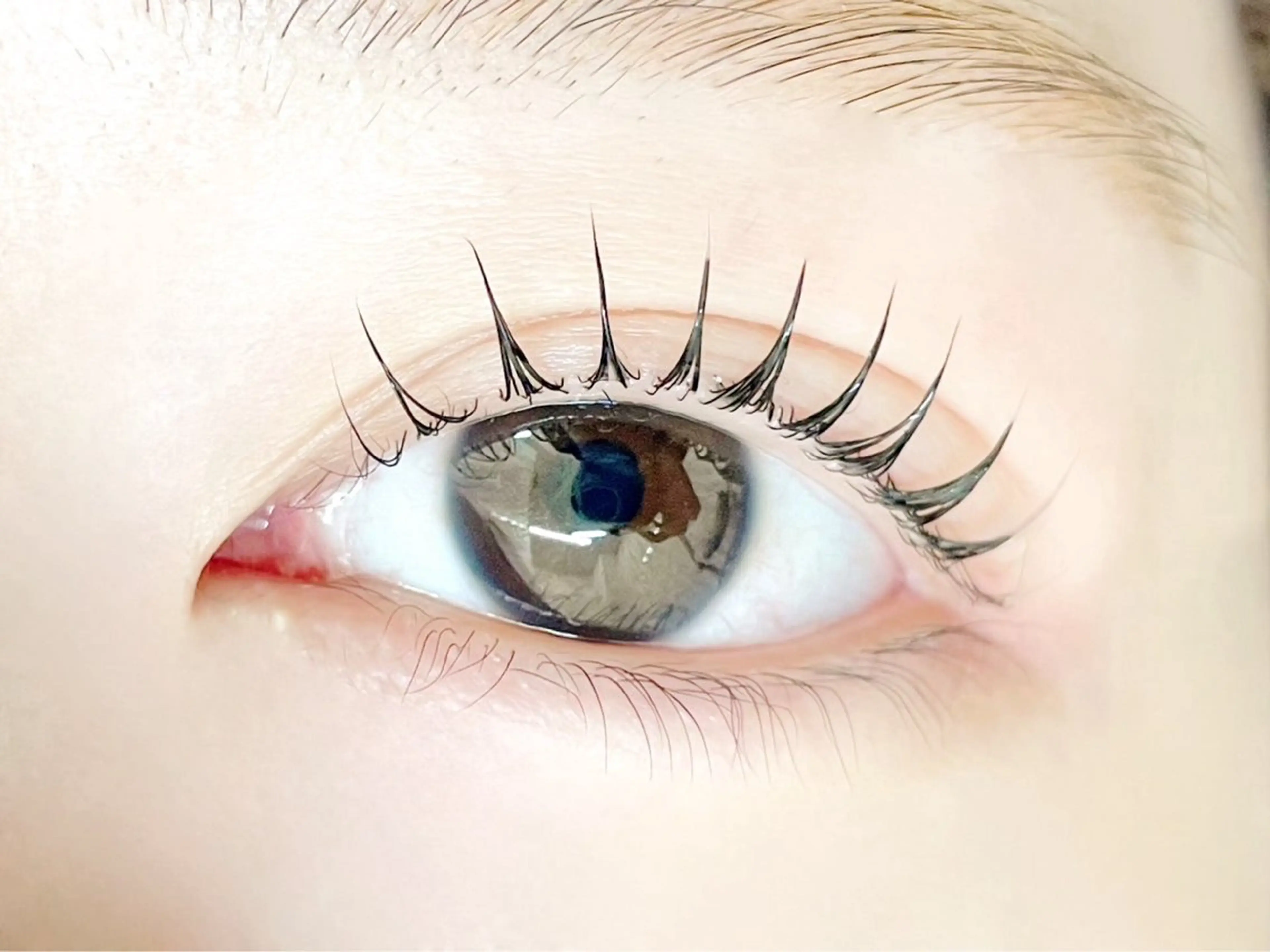 マツエク・マツパ サクラブロウ 猿渡の眉毛・アイブロウイメージ