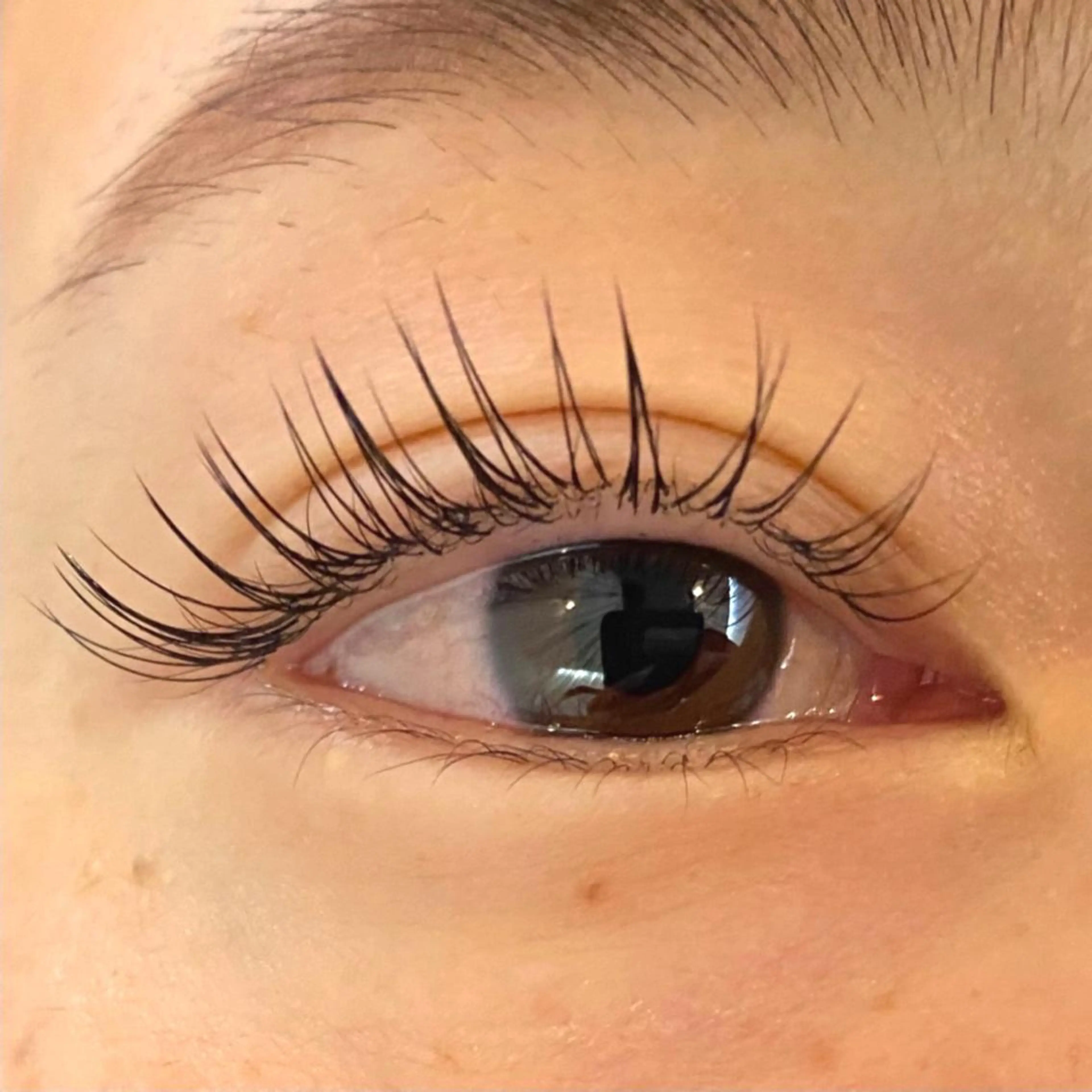 マツエク・マツパ tiara 堺東店のマツエク・マツパデザイン