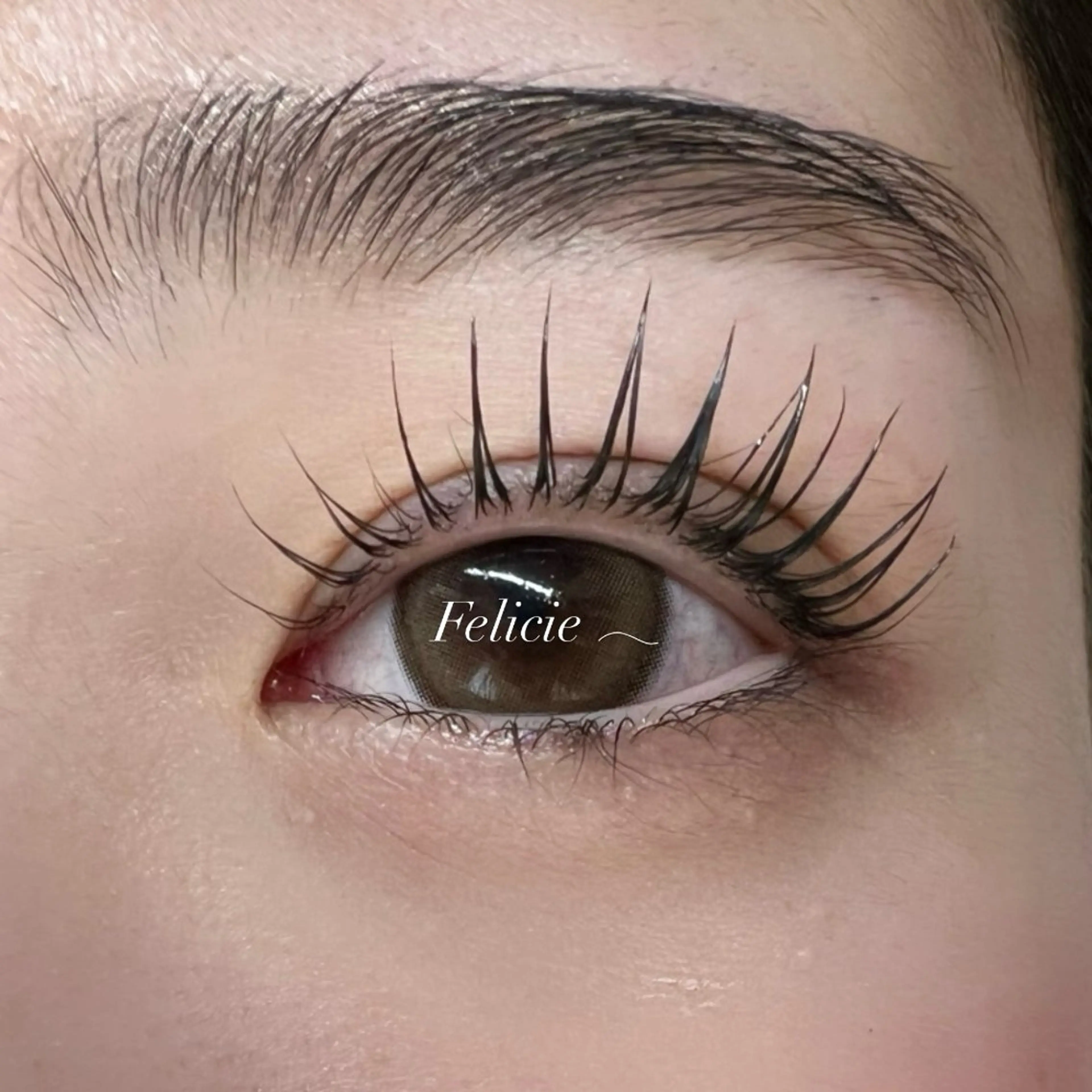 マツエク・マツパ パリジェンヌラッシュリフト マツパ Felicie＊ Sayakaのマツエク・マツパデザイン