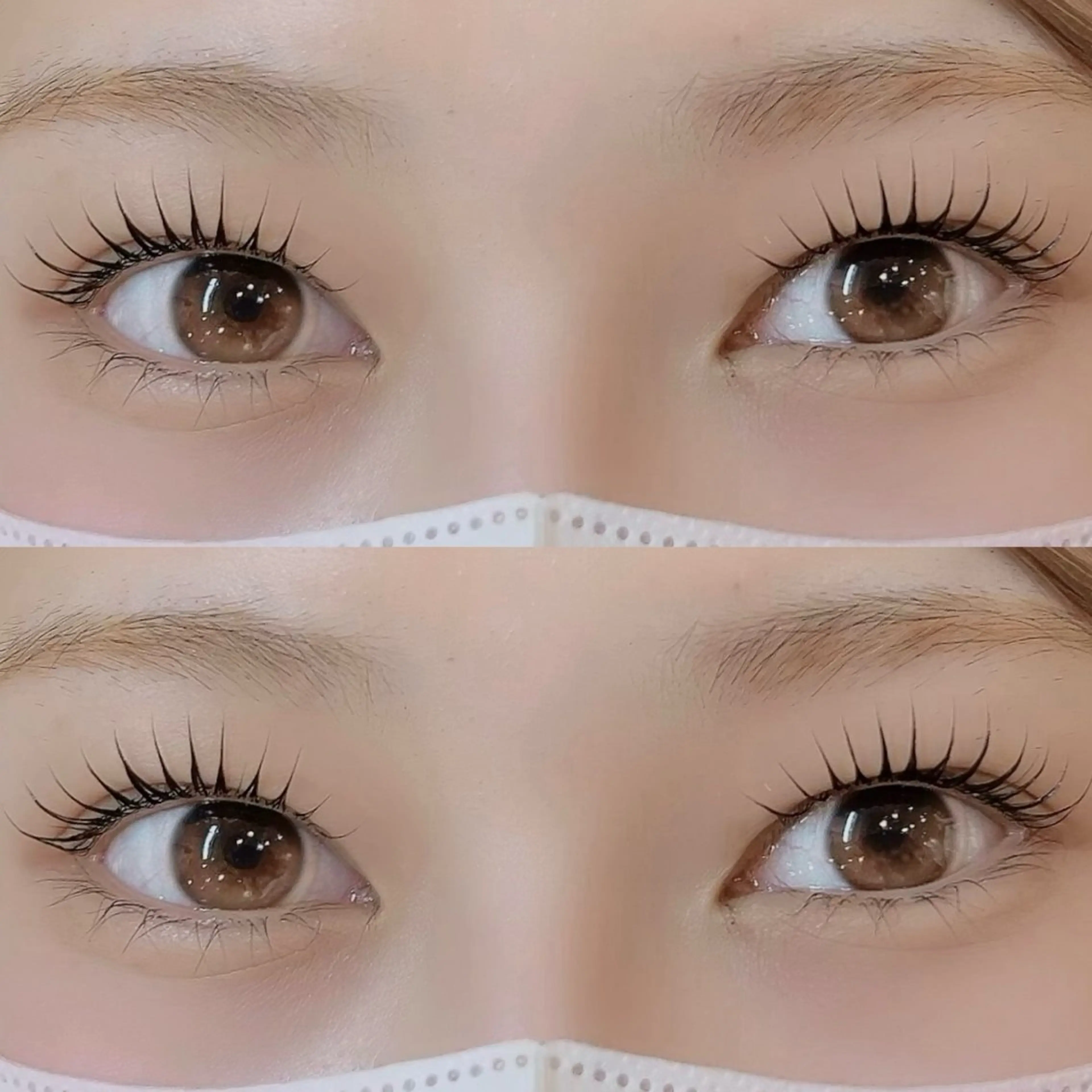 マツエク・マツパ Luxe ···▸﻿ Seike🐈‍⬛⸒の眉毛・アイブロウイメージ
