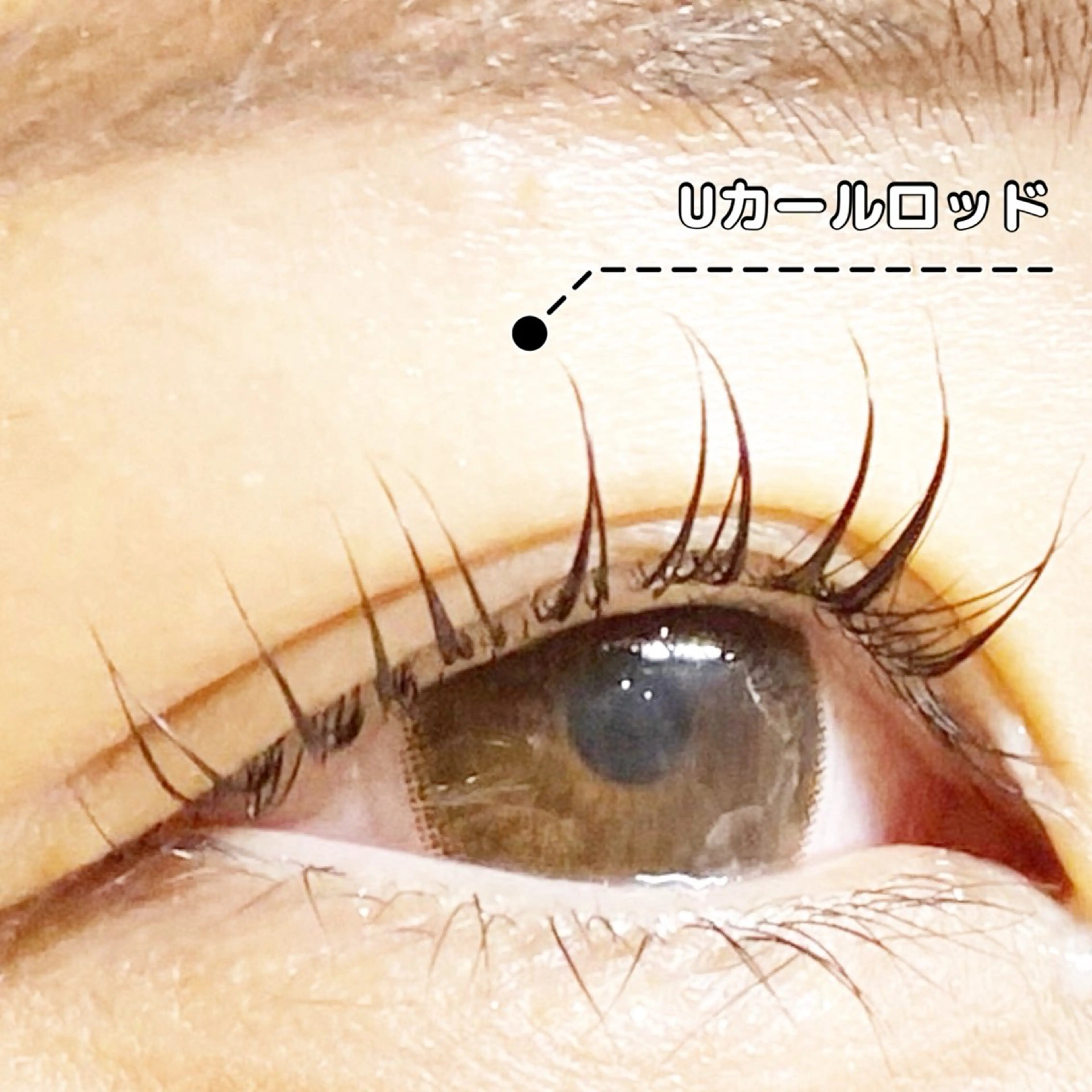 マツエク・マツパ LC尾張旭店所属・LC尾張旭店🫧 いしいのマツエク・マツパデザイン