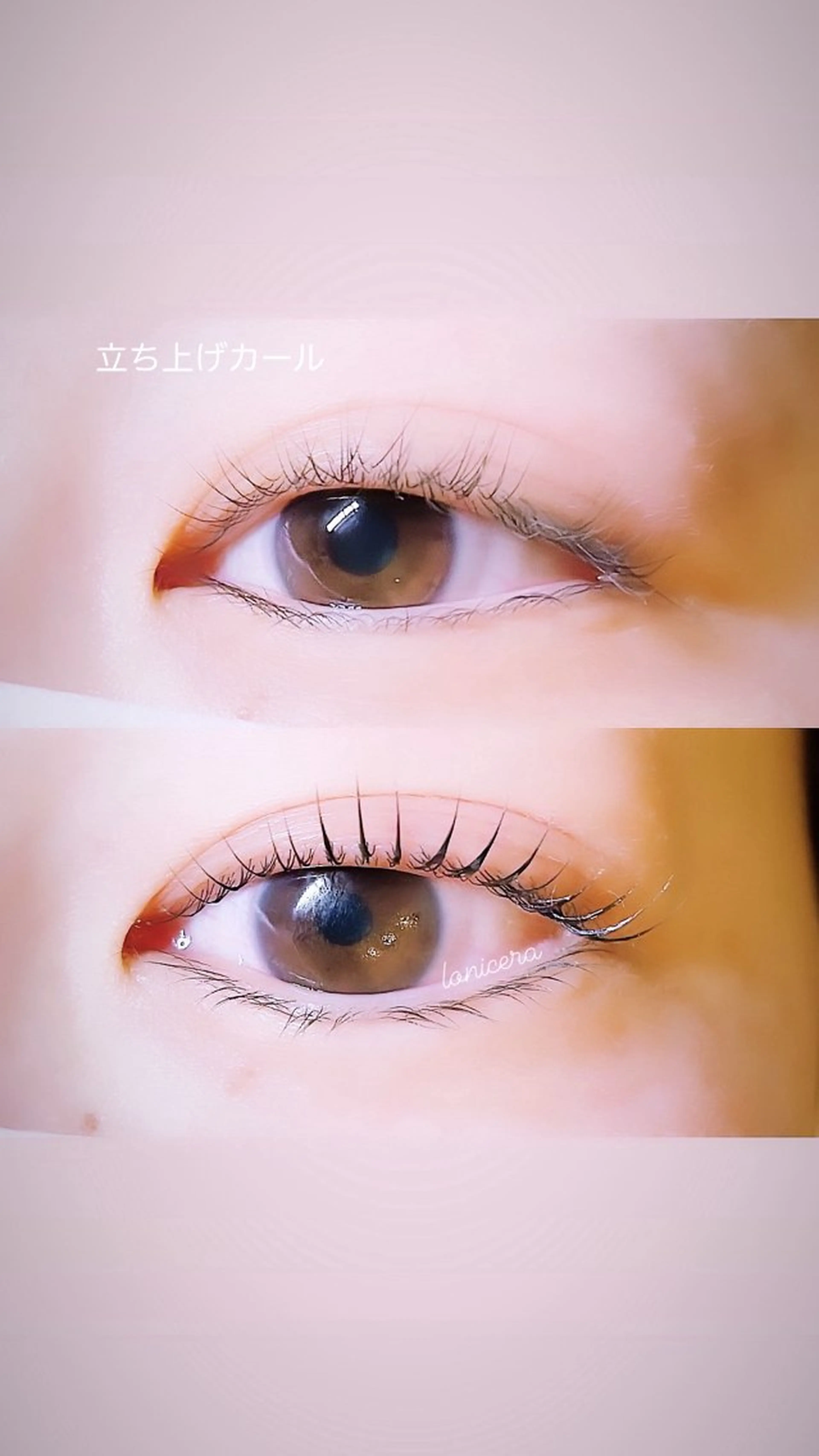 マツエク・マツパ ナチュラル ロニセラ アイラッシュのマツエク・マツパデザイン