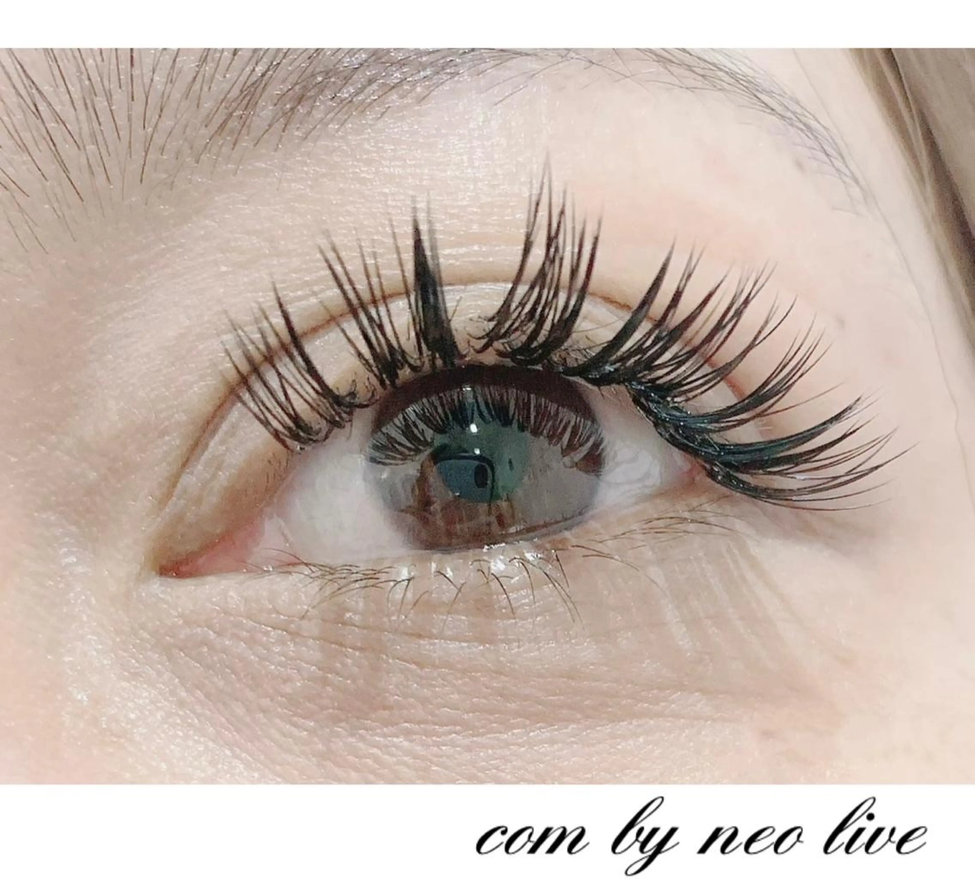 マツエク・マツパ バインドロック Cカール 目尻長め 池袋駅韓国風🇰🇷 束感💗Tomoのマツエク・マツパデザイン