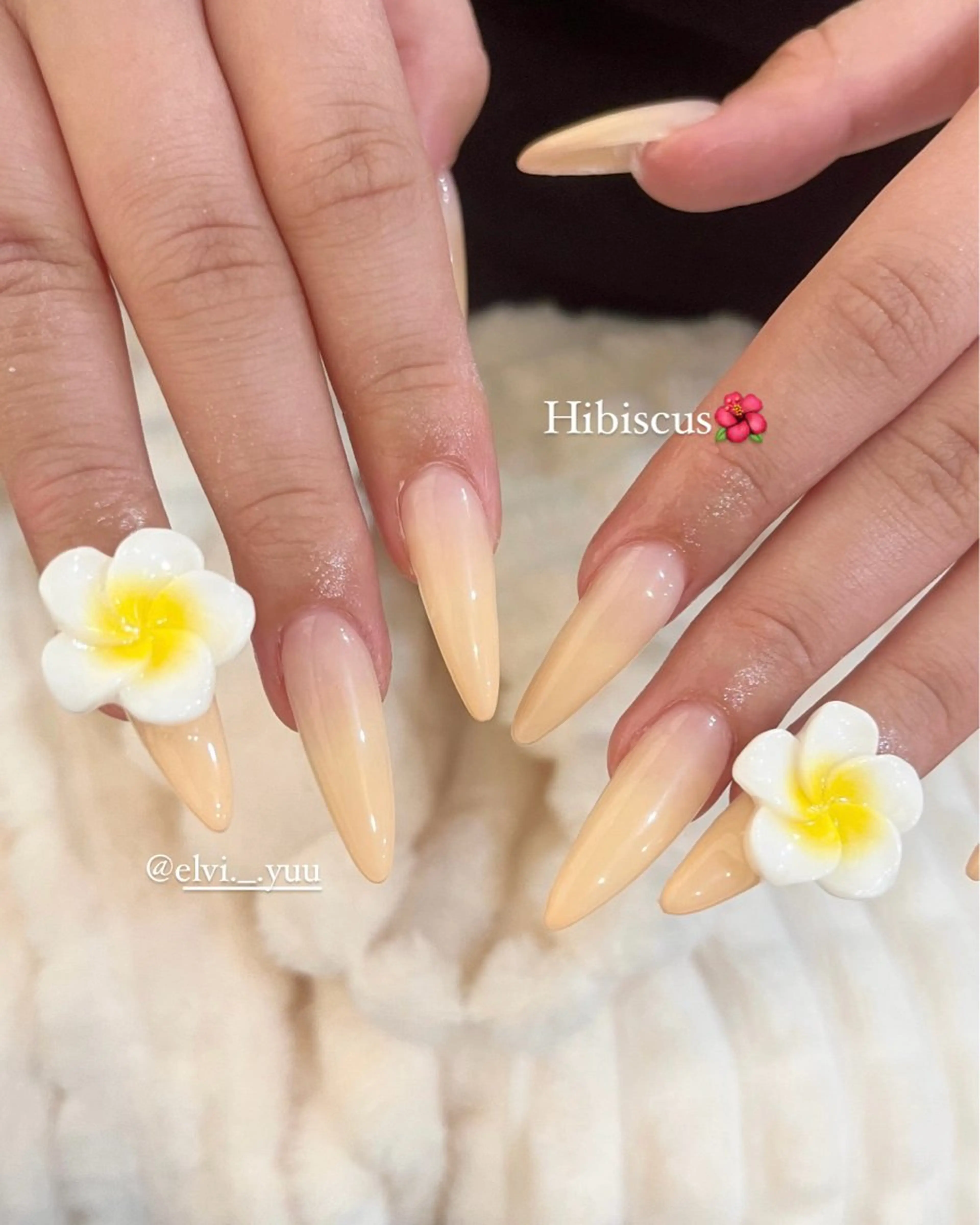 【❕期間限定価格❕】オフなし　ワンカラー＋長さだし10本の写真