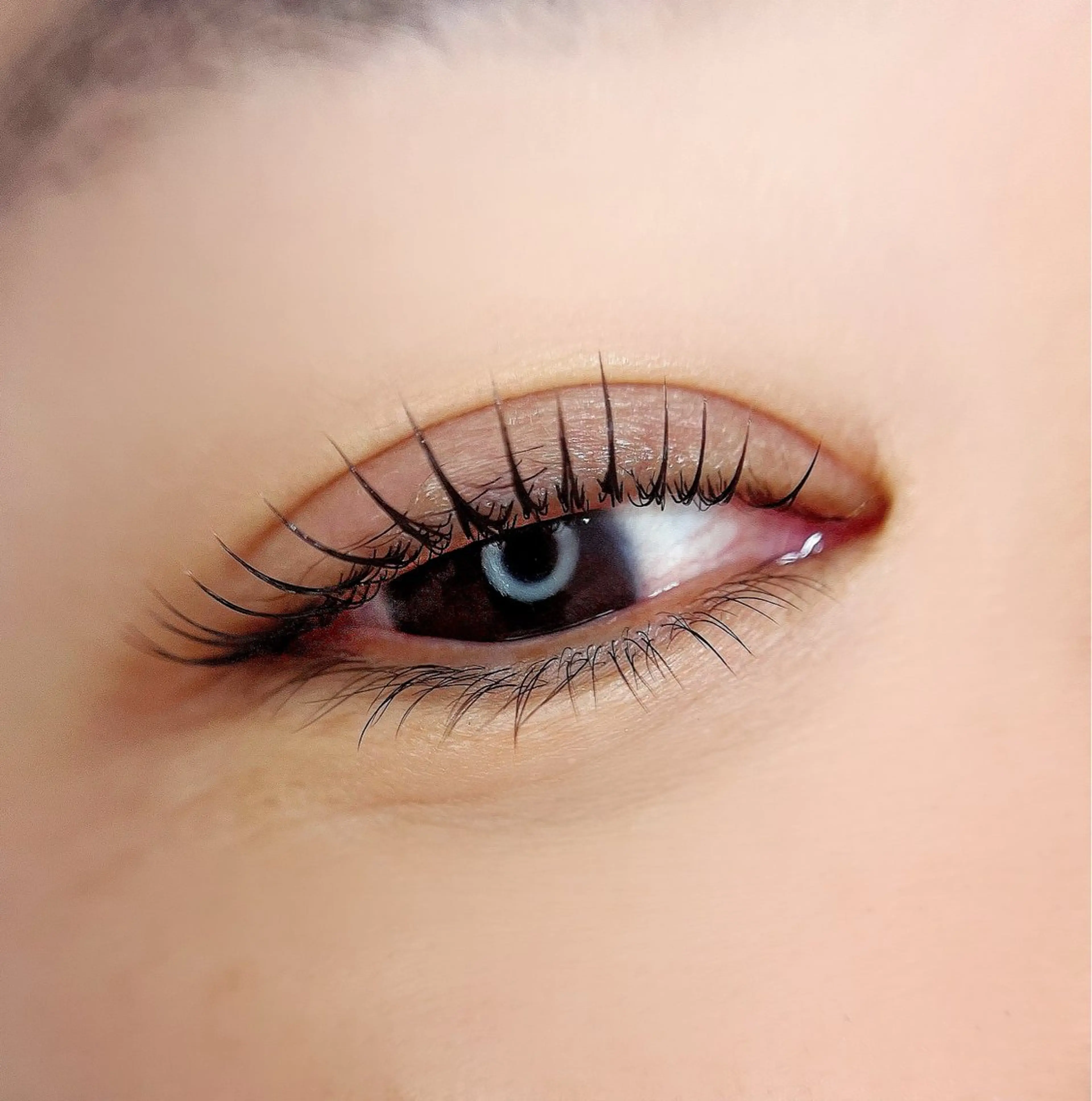 マツエク・マツパ un par un アンパルアン所属・un par unの眉毛・アイブロウイメージ