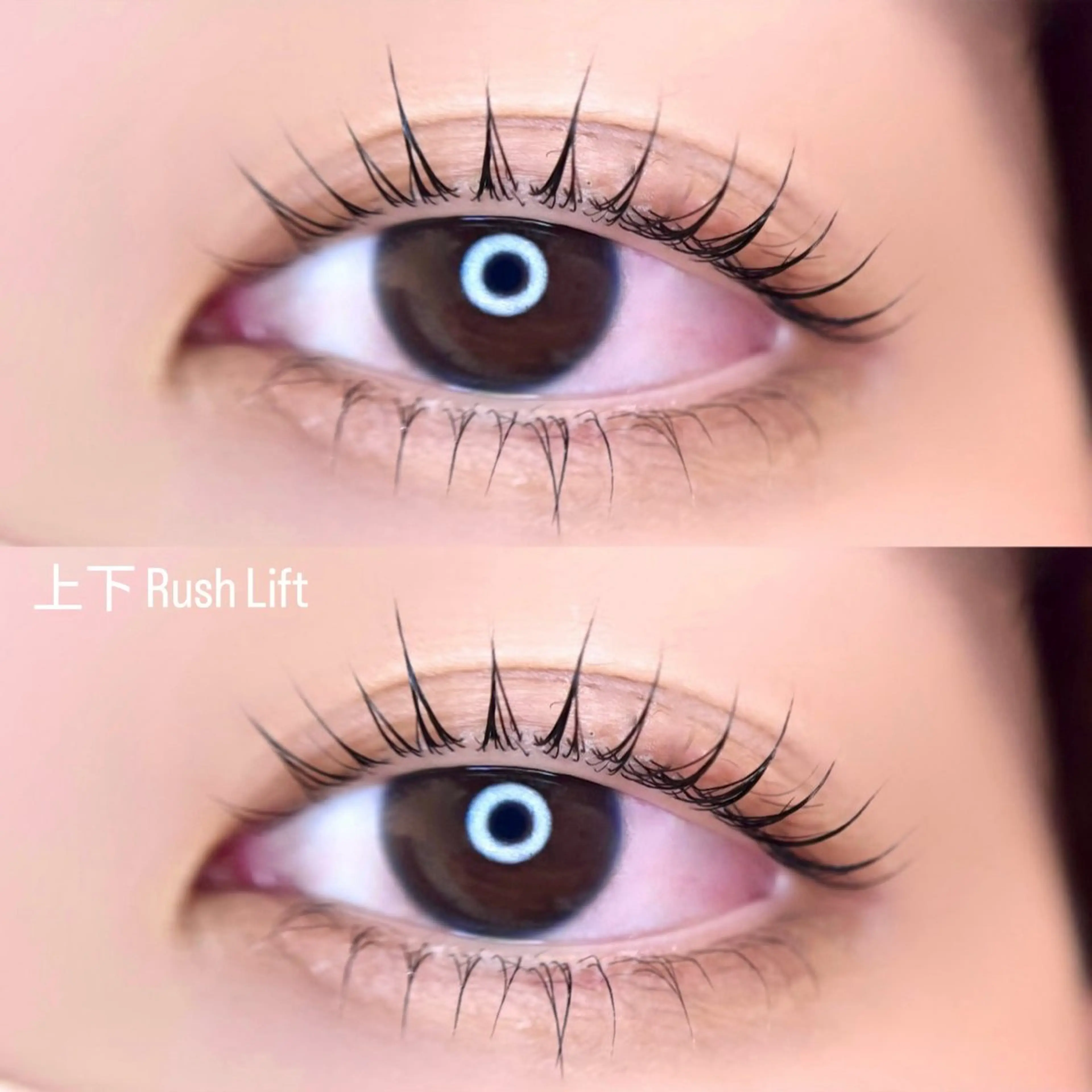 上下まつ毛パーマ🤍の写真