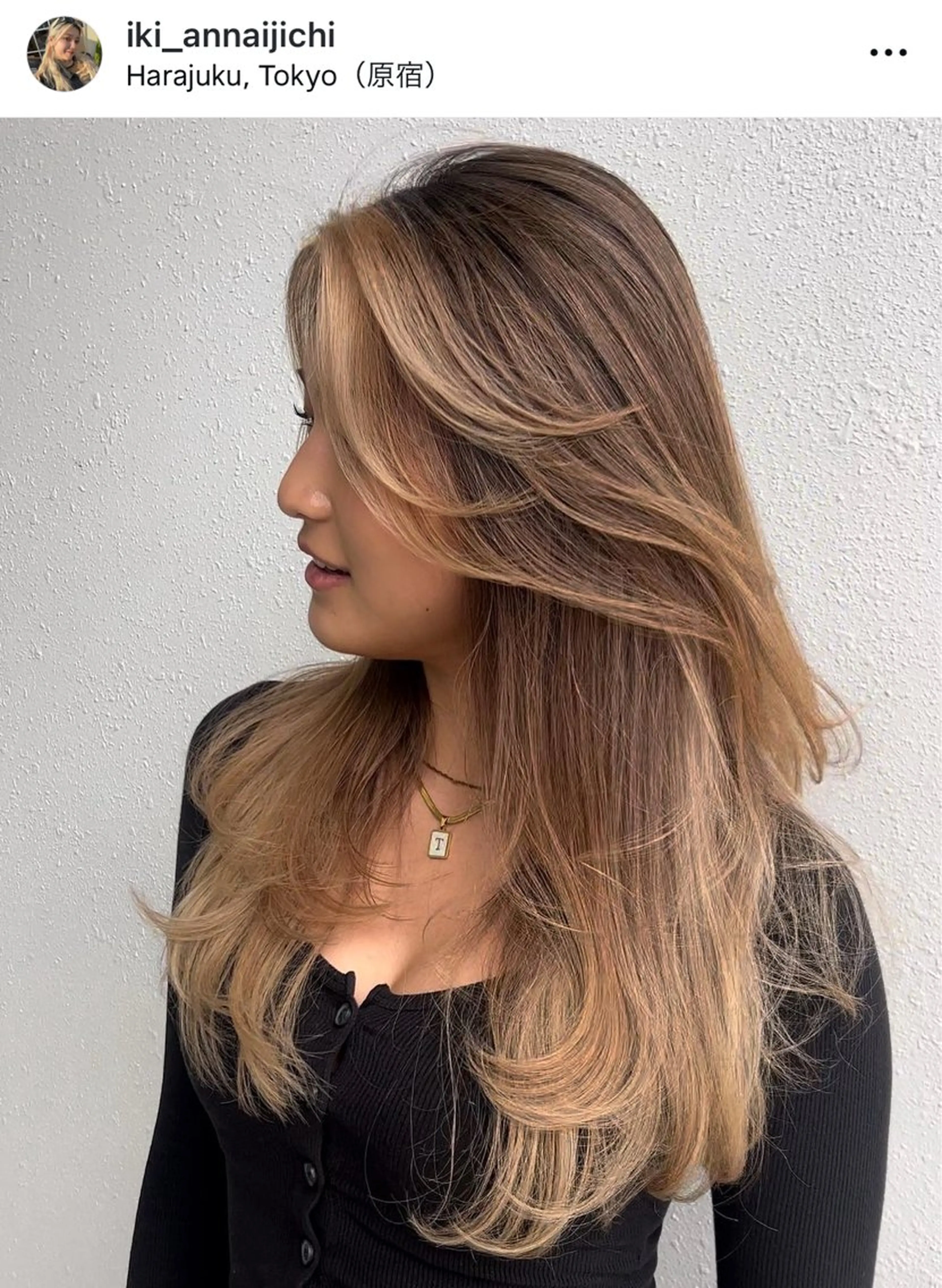 ロング アンナ🦋海外ヘア バレイヤージュのヘアスタイル