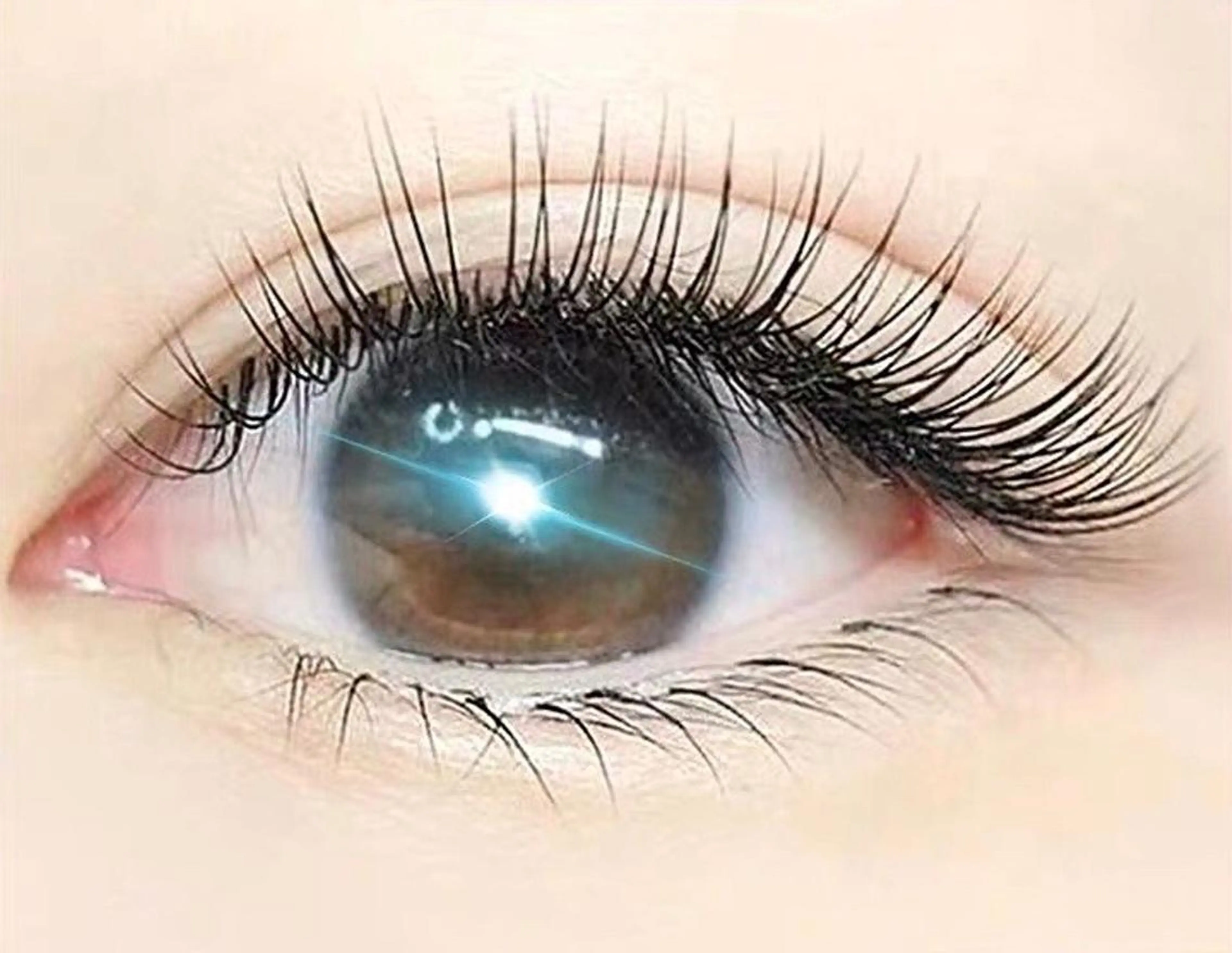 マツエク・マツパ 橋本 美咲のエステ・リラクイメージ