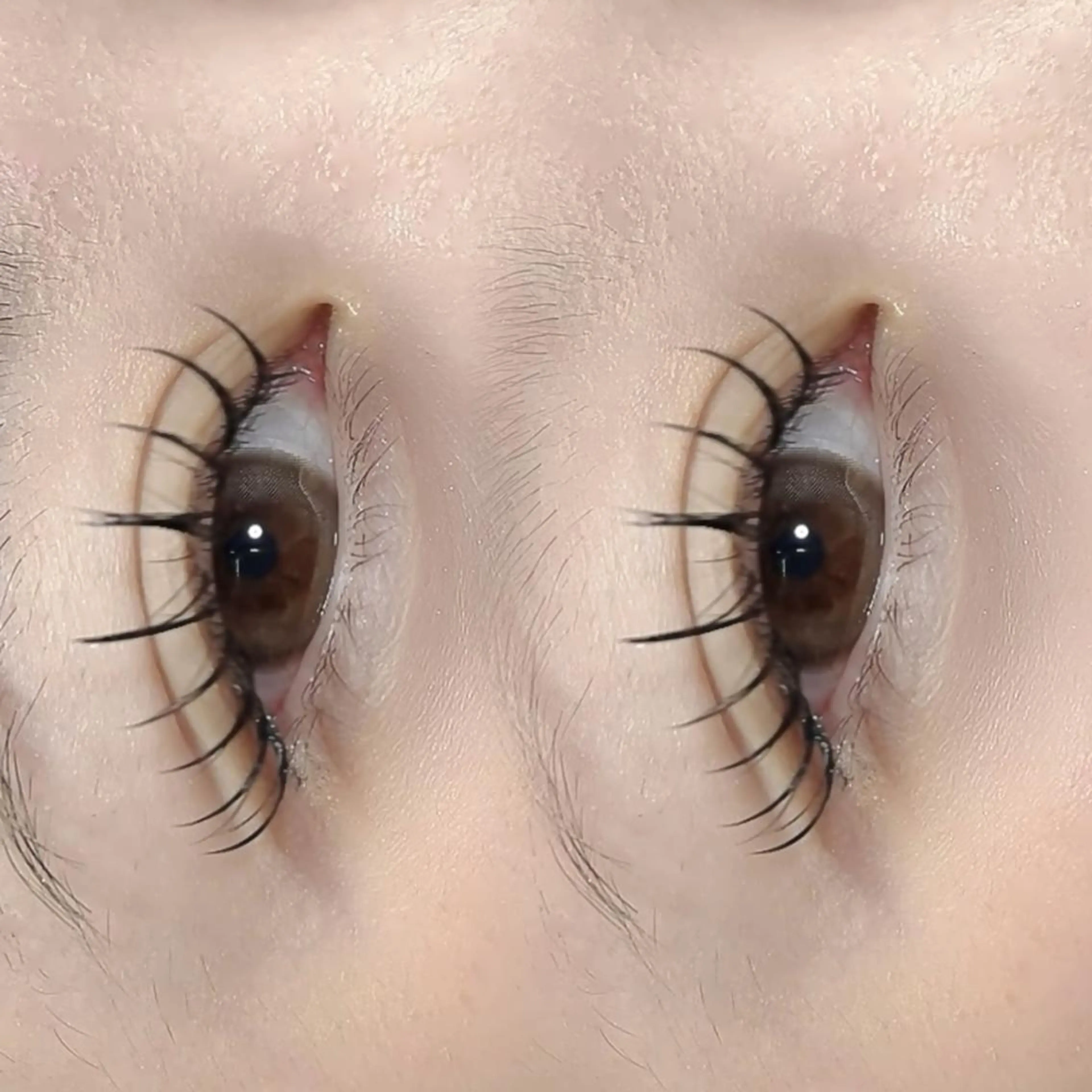 大人気パリエク👑 パリジェンヌ+エクステ120本✨の写真