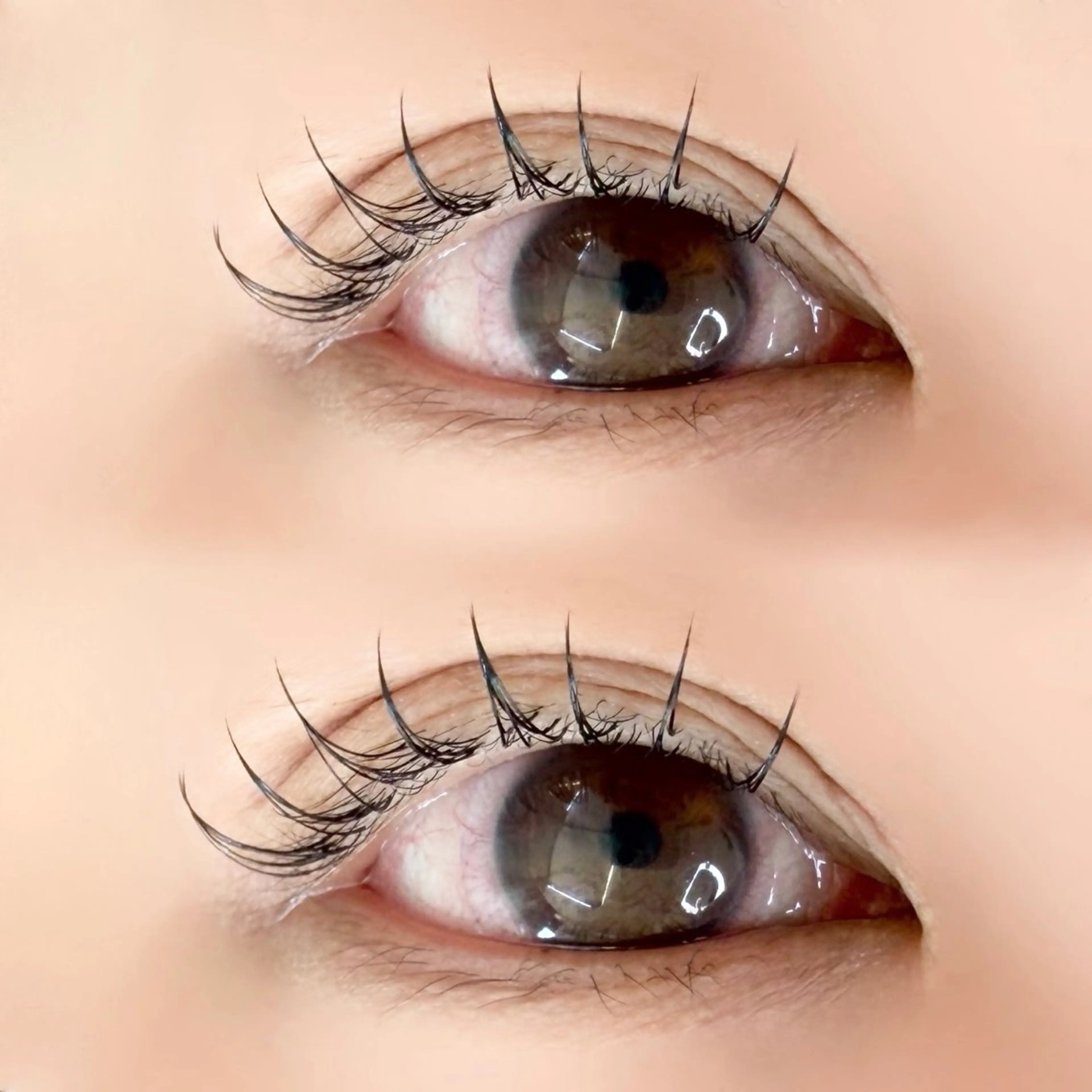 U-23学生限定/まつエクモデル様募集中🎀/​〜​80本/普通接着剤使用の写真