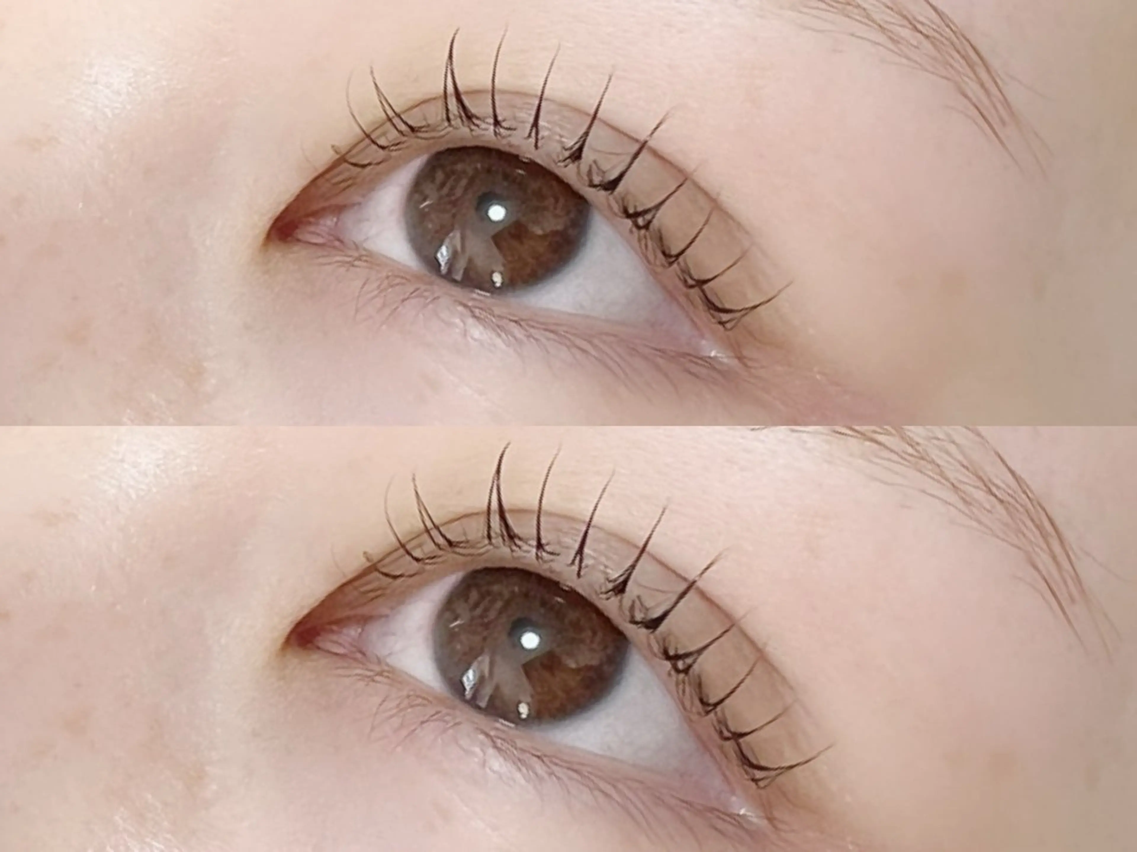 次世代まつ毛パーマ🌼ラッシュリフト￥5,830の写真