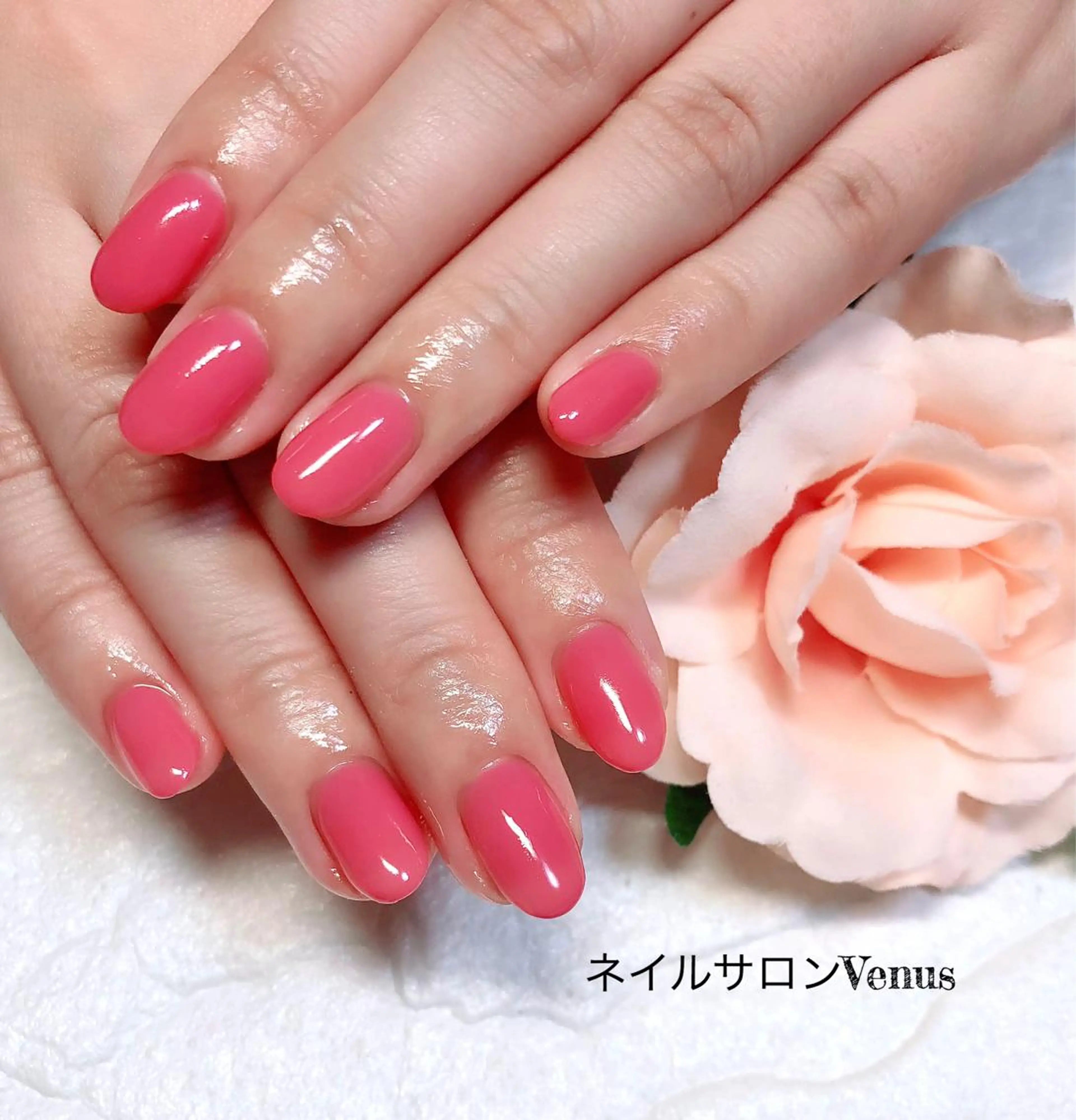 ネイル ワンカラーネイル ハンドネイル Nail salon Venusのネイルデザイン