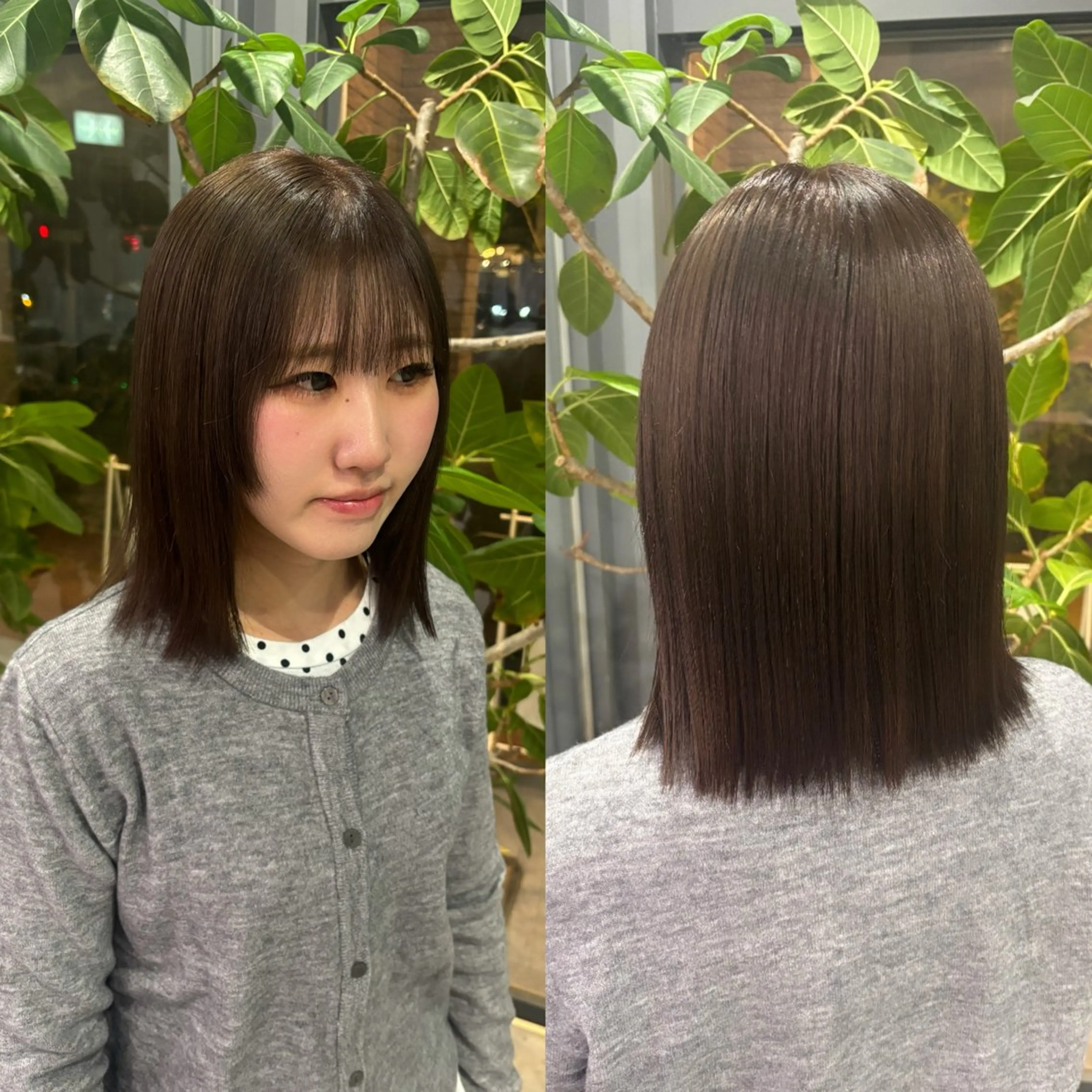 カラー ヘアカラー 🐈‍⬛JUMI /透明感カラー/🩶のヘアスタイル