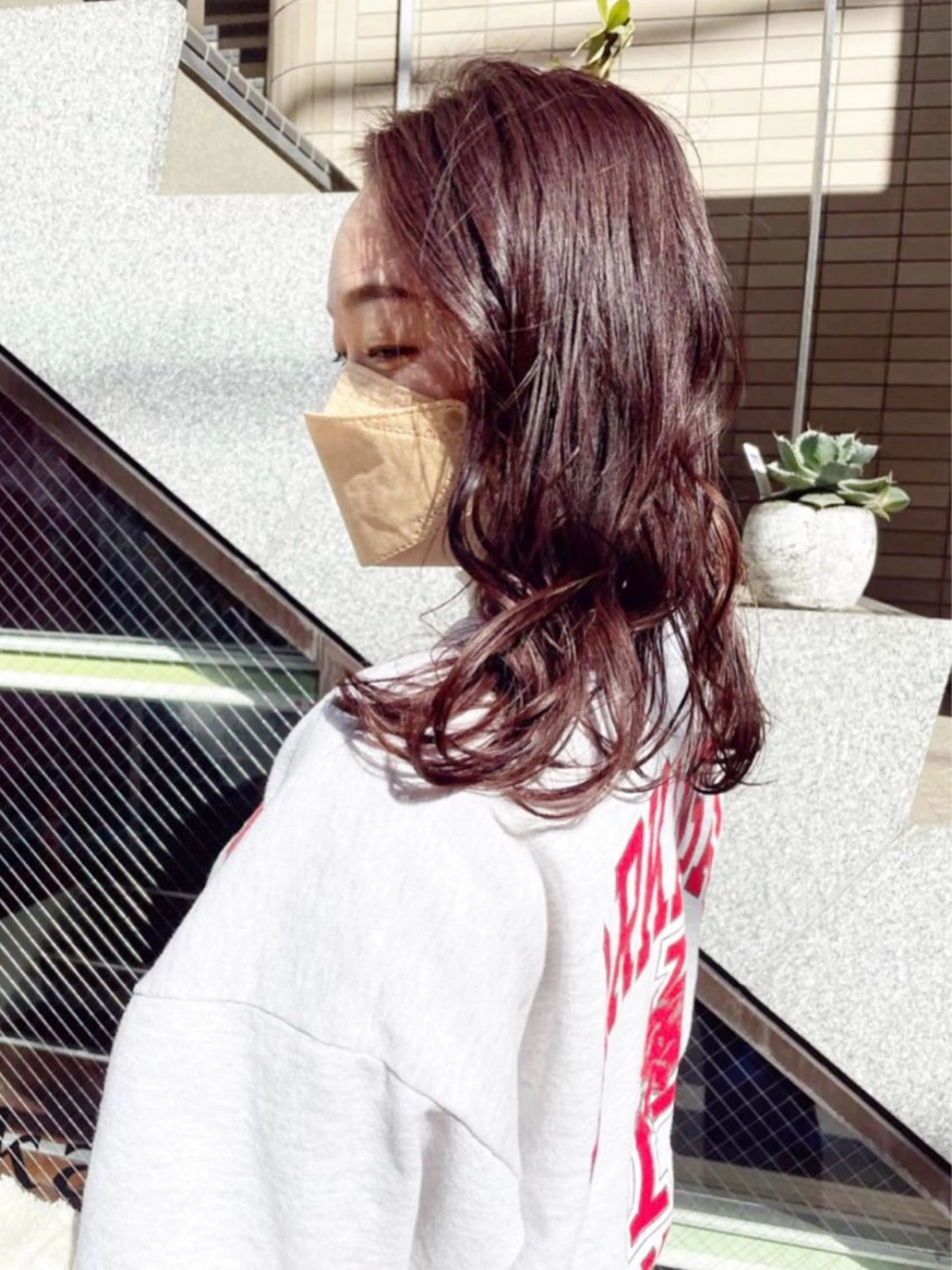 【全員⭐️】ルシスカラー ＋ トリートメント ✂️の写真