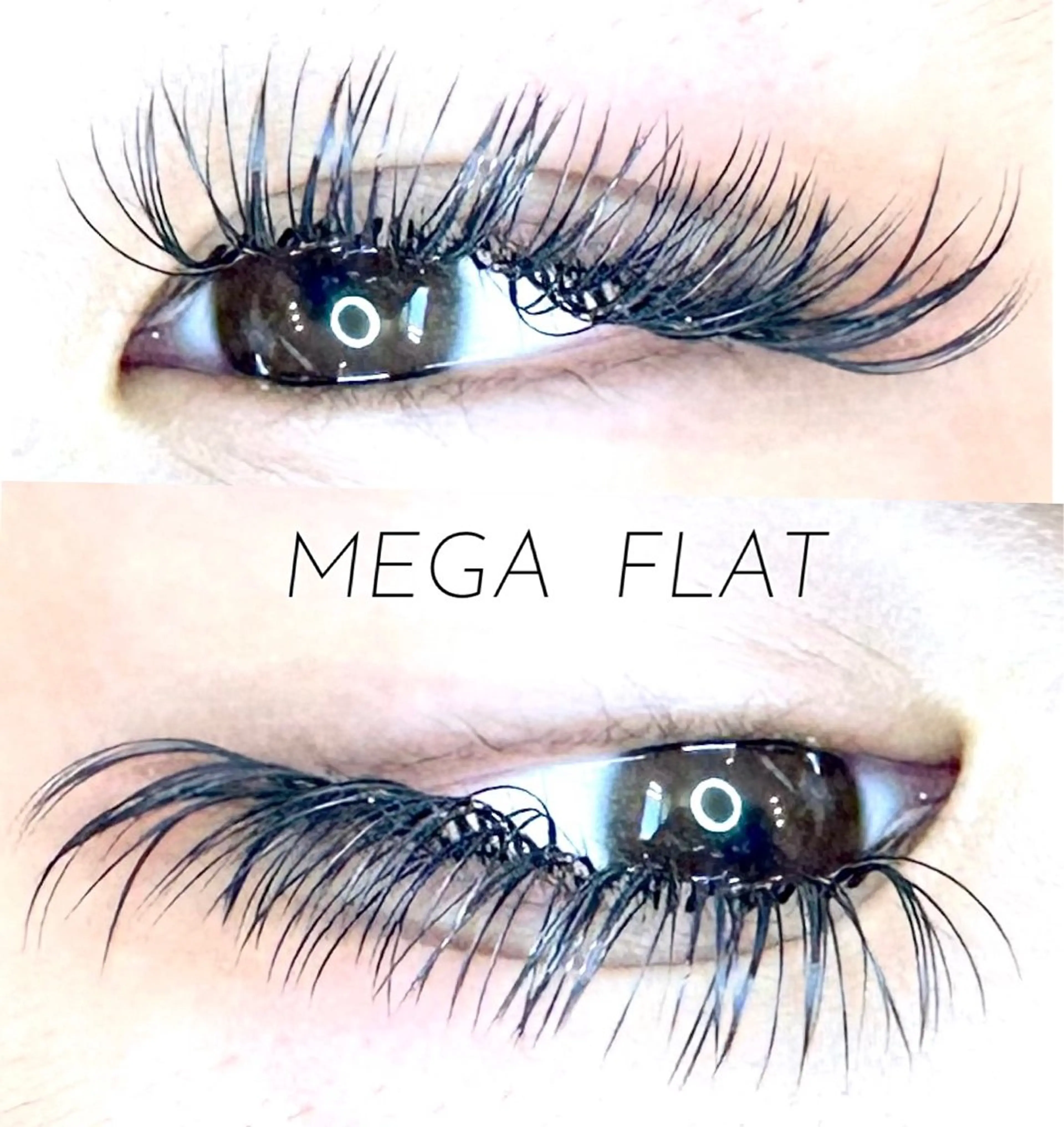 メガフラットラッシュ❤️60束❤️の写真