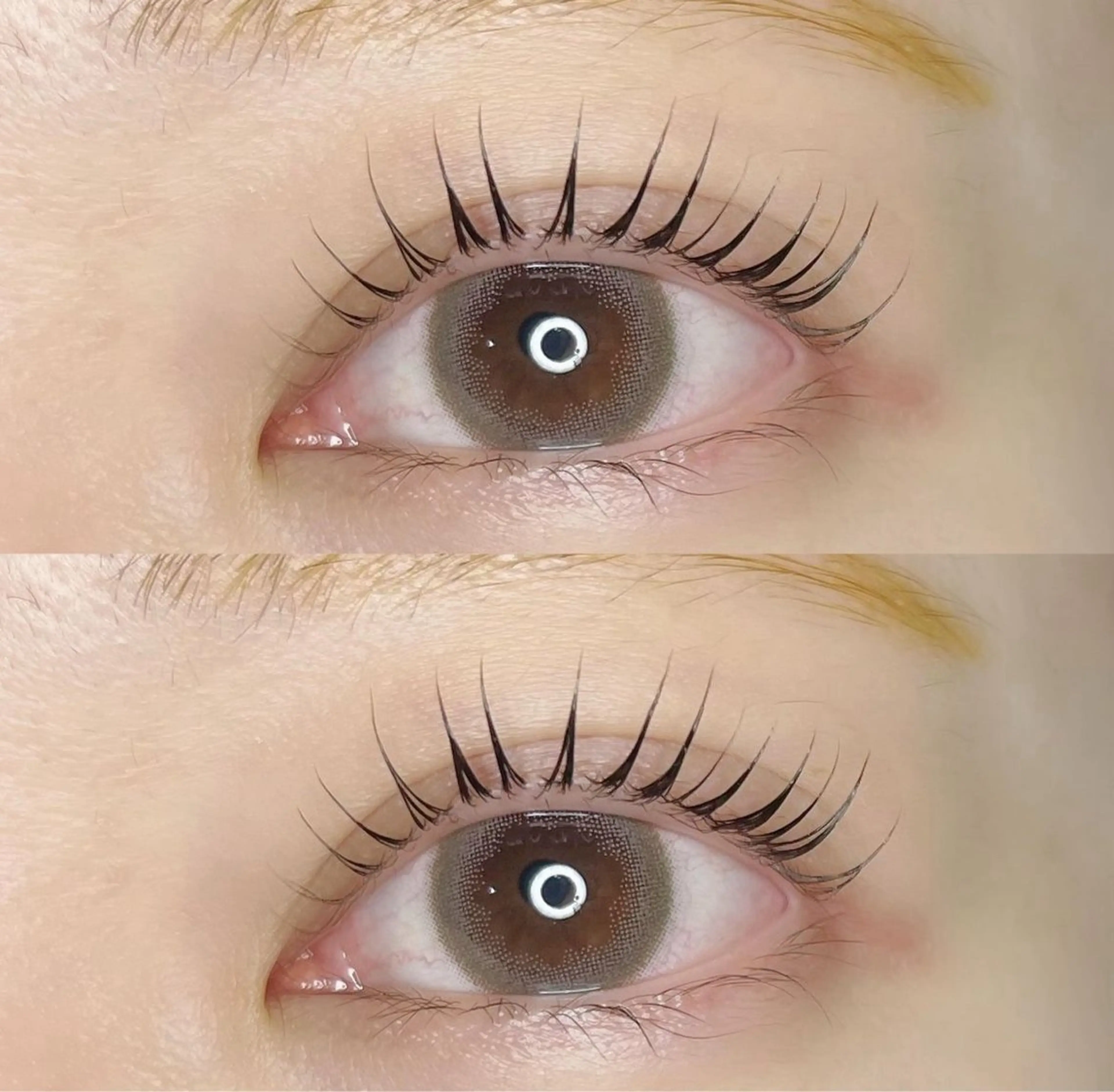 マツエク・マツパ マツパ chouchou🌷 miyuuのマツエク・マツパデザイン