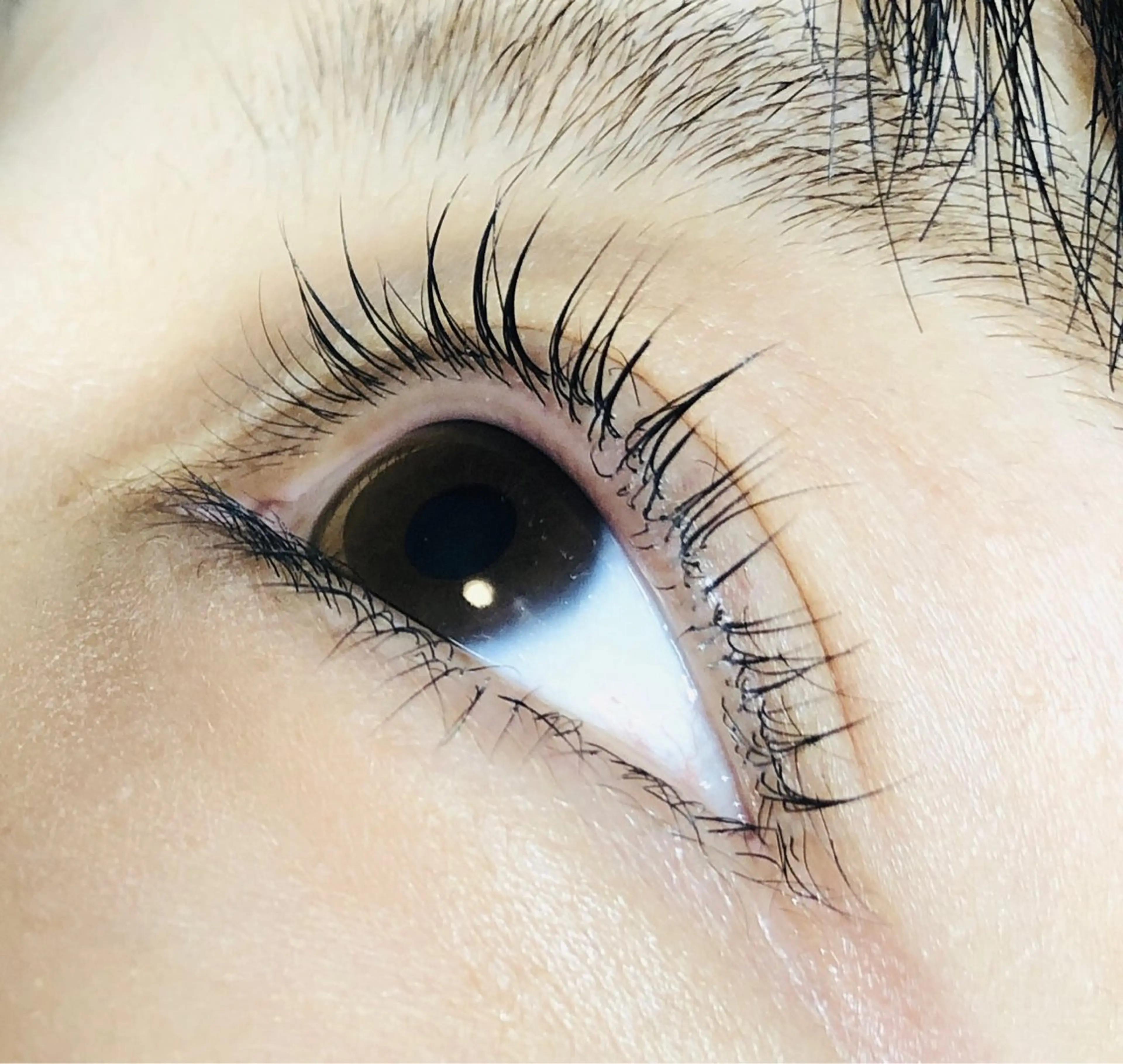 大好評🎉まつげパーマ【選べるカール】【無料コーティング美容液仕上げ】の写真