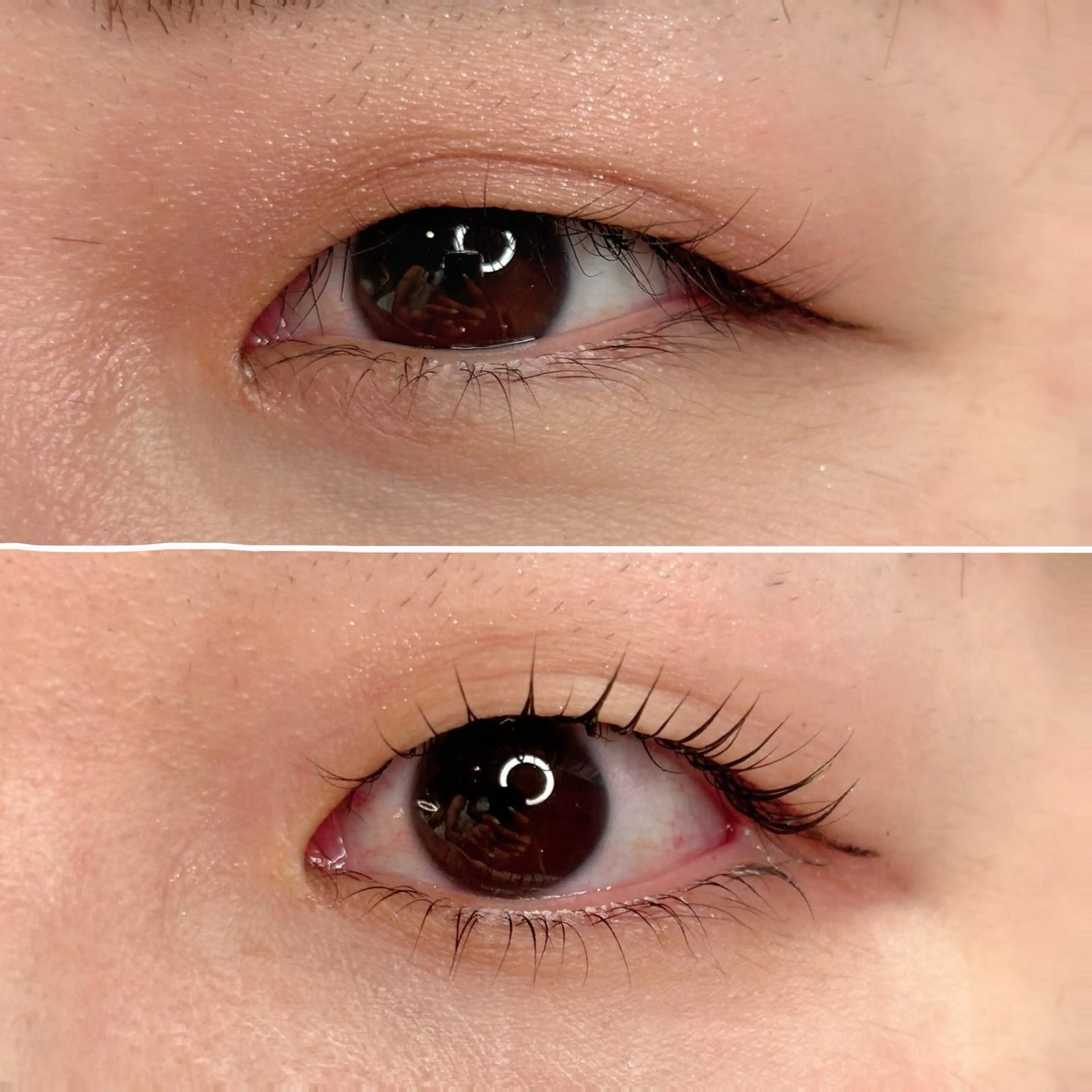 マツエク・マツパ 下まつげエクステ 一重×まつ毛パーマ By color  EYE&NAIL所属・BY  COLOR eyedesinのマツエク・マツパデザイン