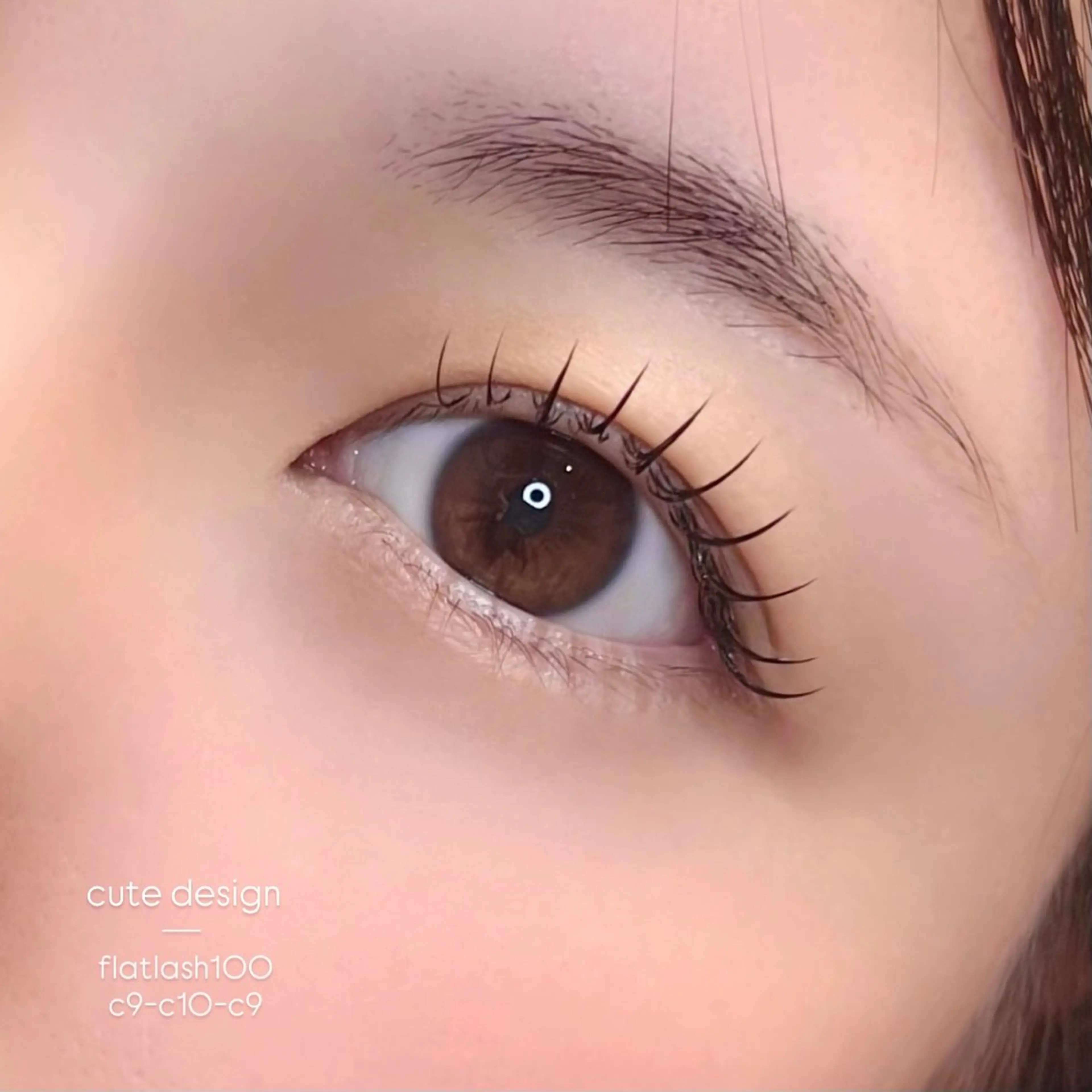 《4/6 限定クーポン 📋 》フラットラッシュ 100本 👀❕✨(オフなし)の写真
