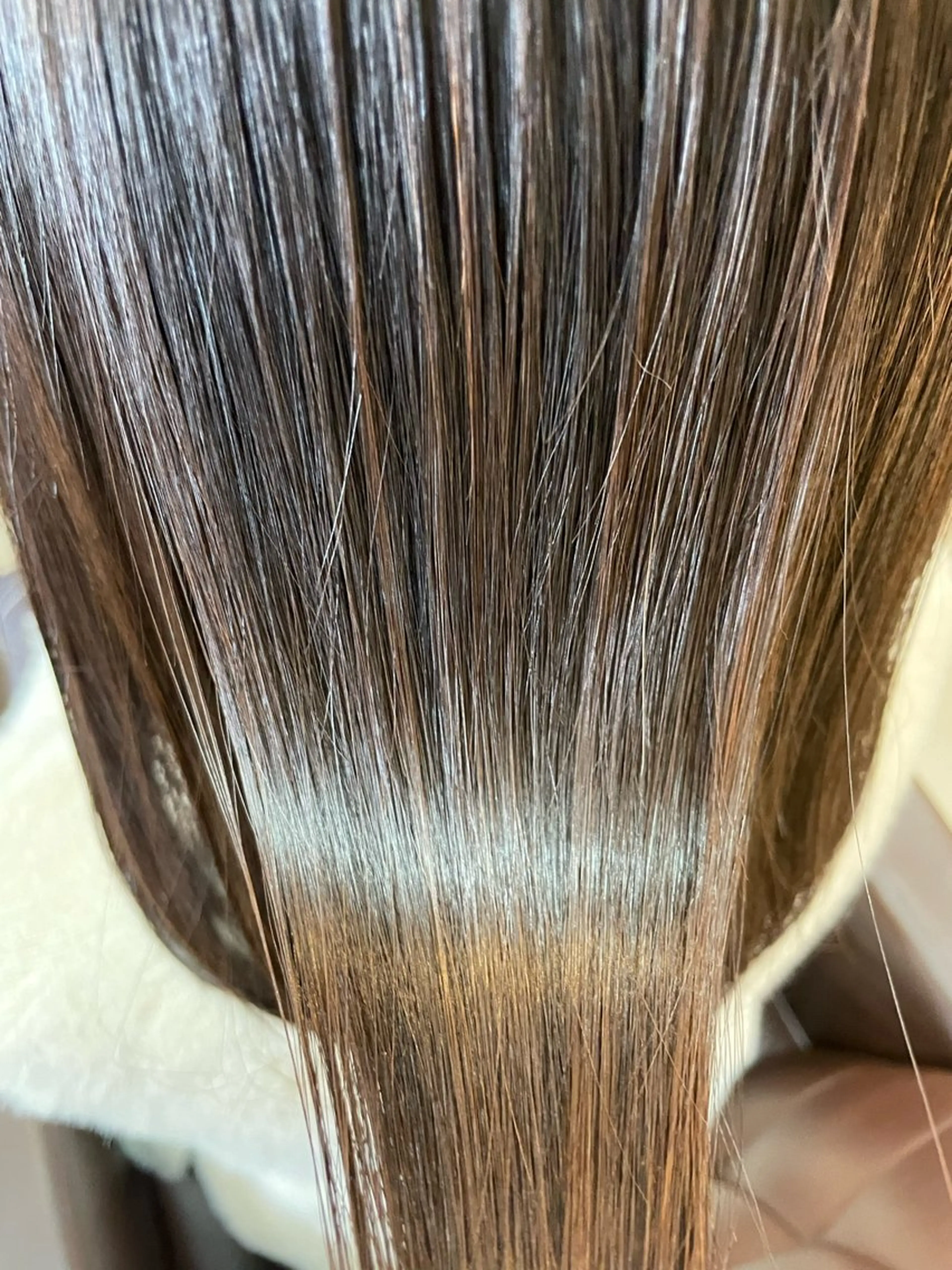 ミディアム カラー カット ヘアカラー トリートメント まつパ/マツエク🤎 艶カラー/ゆり♡⃛のヘアスタイル