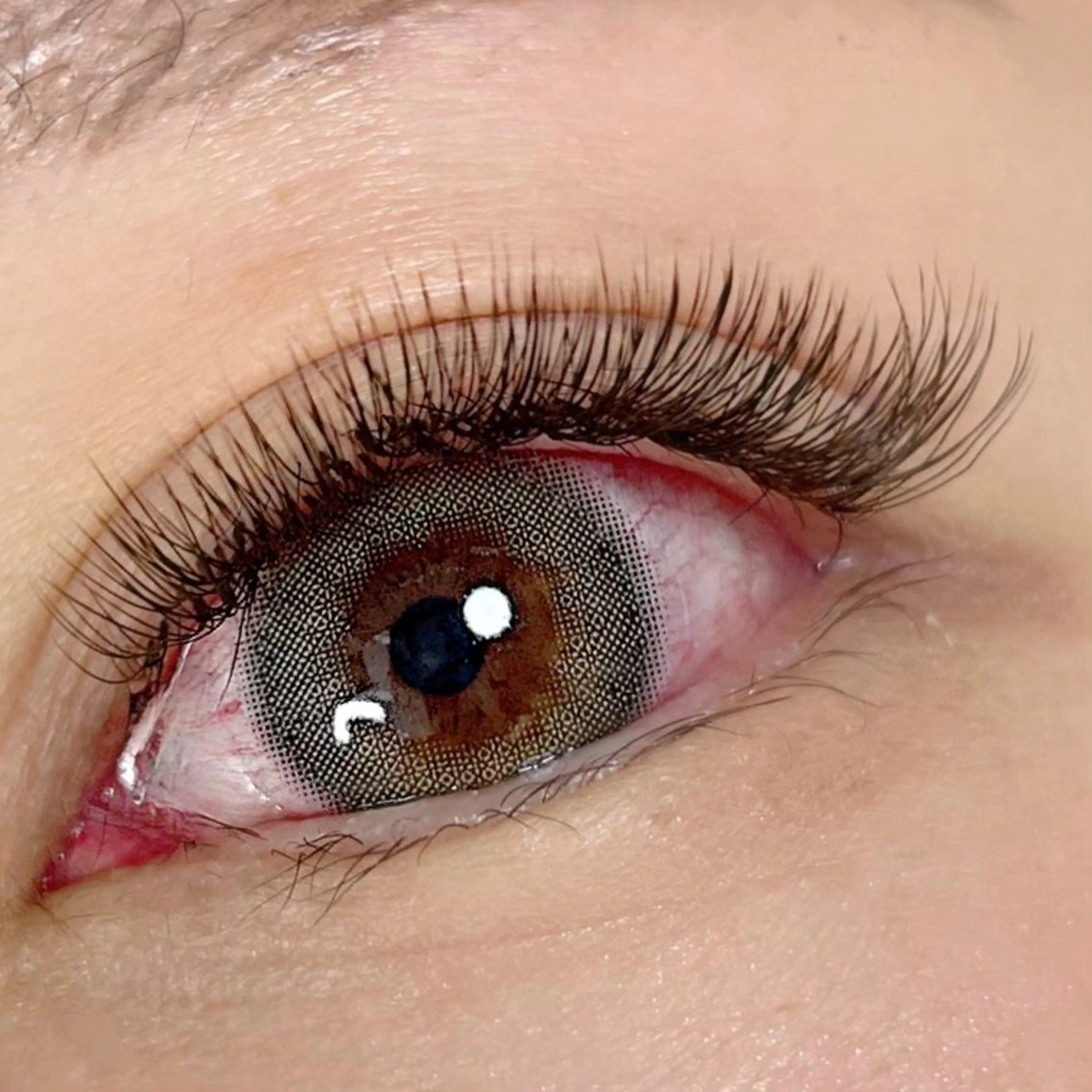 【Rommy'sボリュームラッシュ400本】オフ無料/LED+¥1.500の写真