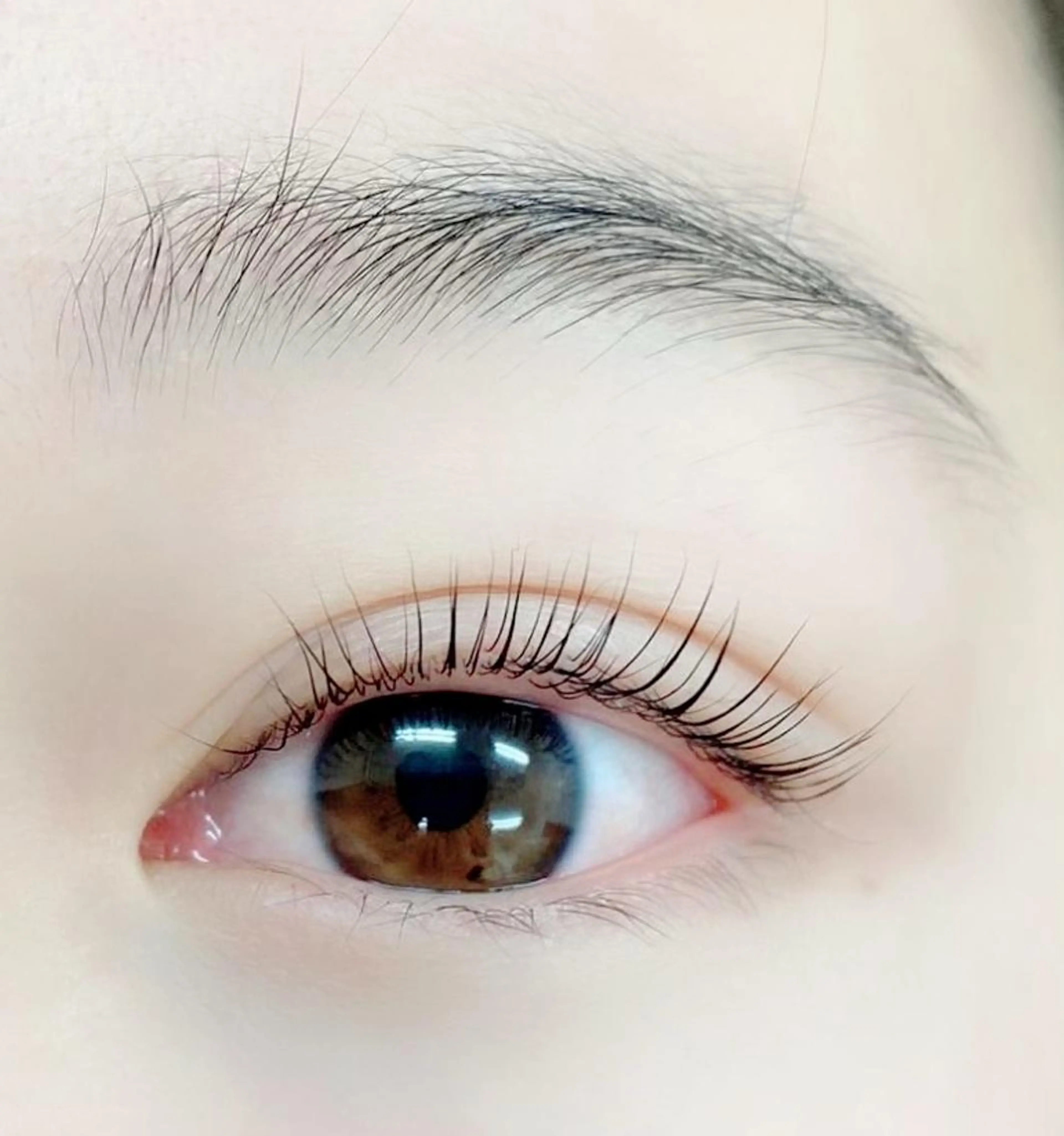 《全日》【贅沢4点セット】パリジェンヌラッシュリフト 9080の写真