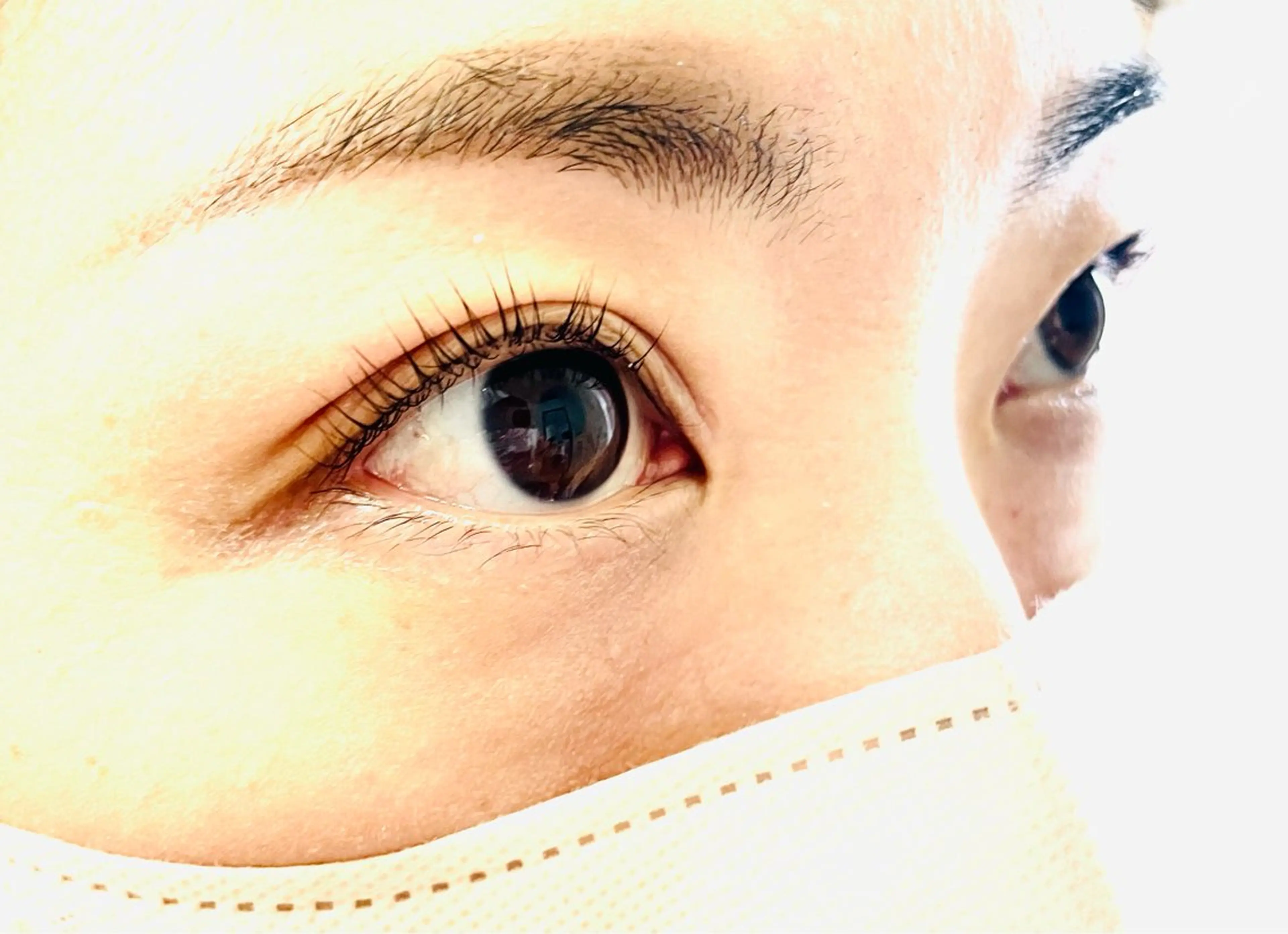 パリジェンヌラッシュリフトの写真