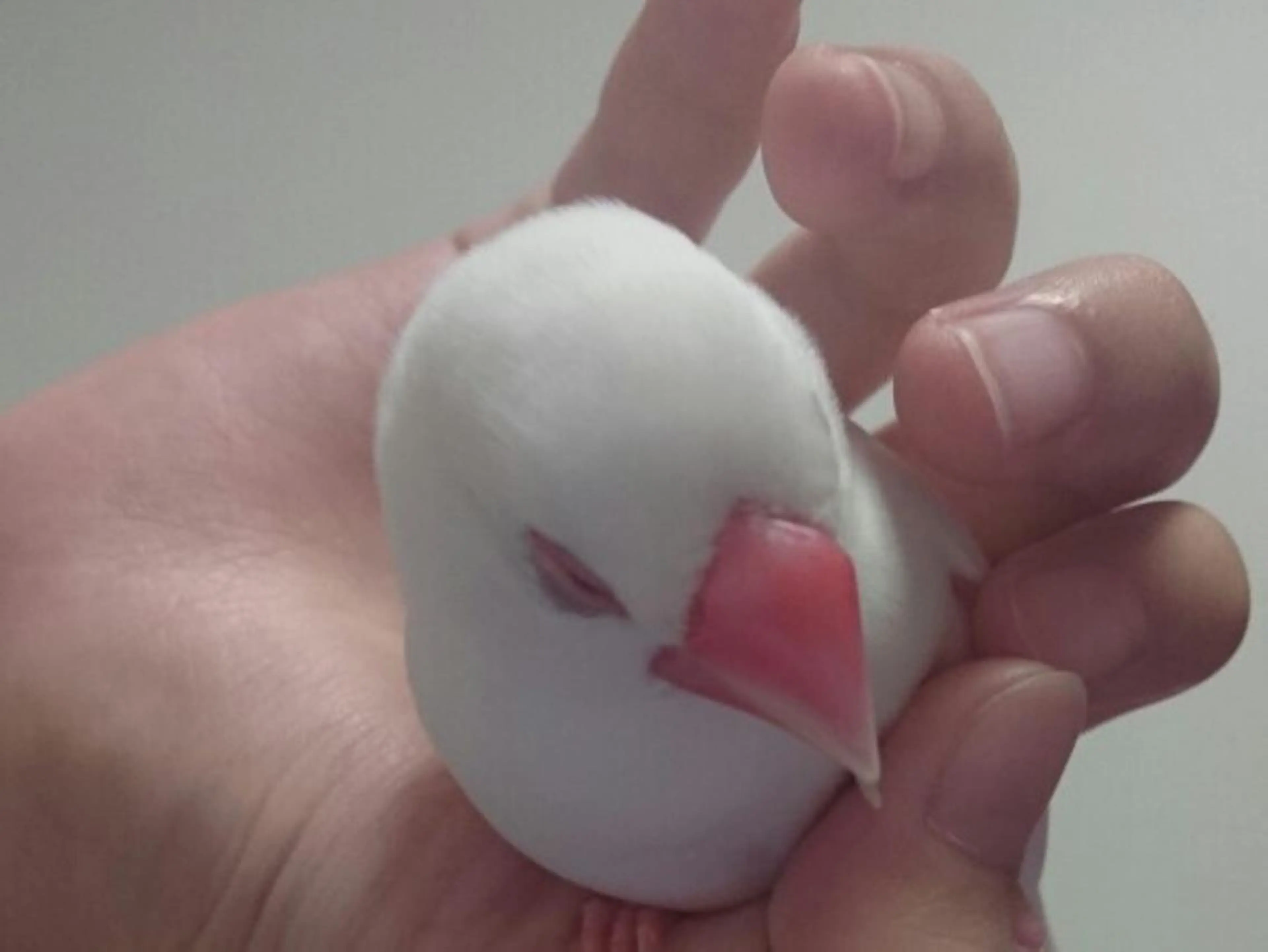 g*rossa高橋 くみこのエステ・リラクイメージ