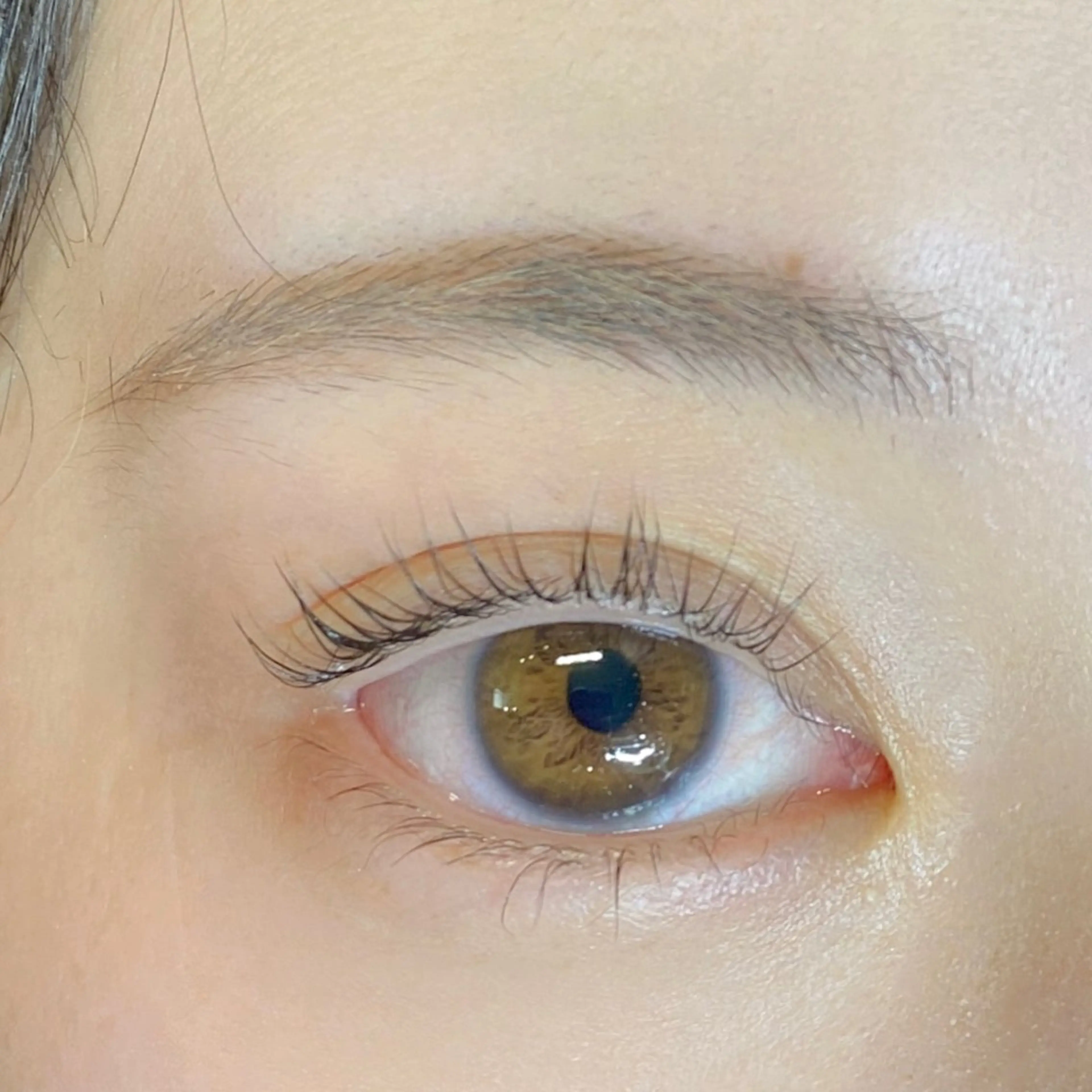 【ご新規様限定】まつげパーマ上下 +コーティング仕上げ💙✨の写真