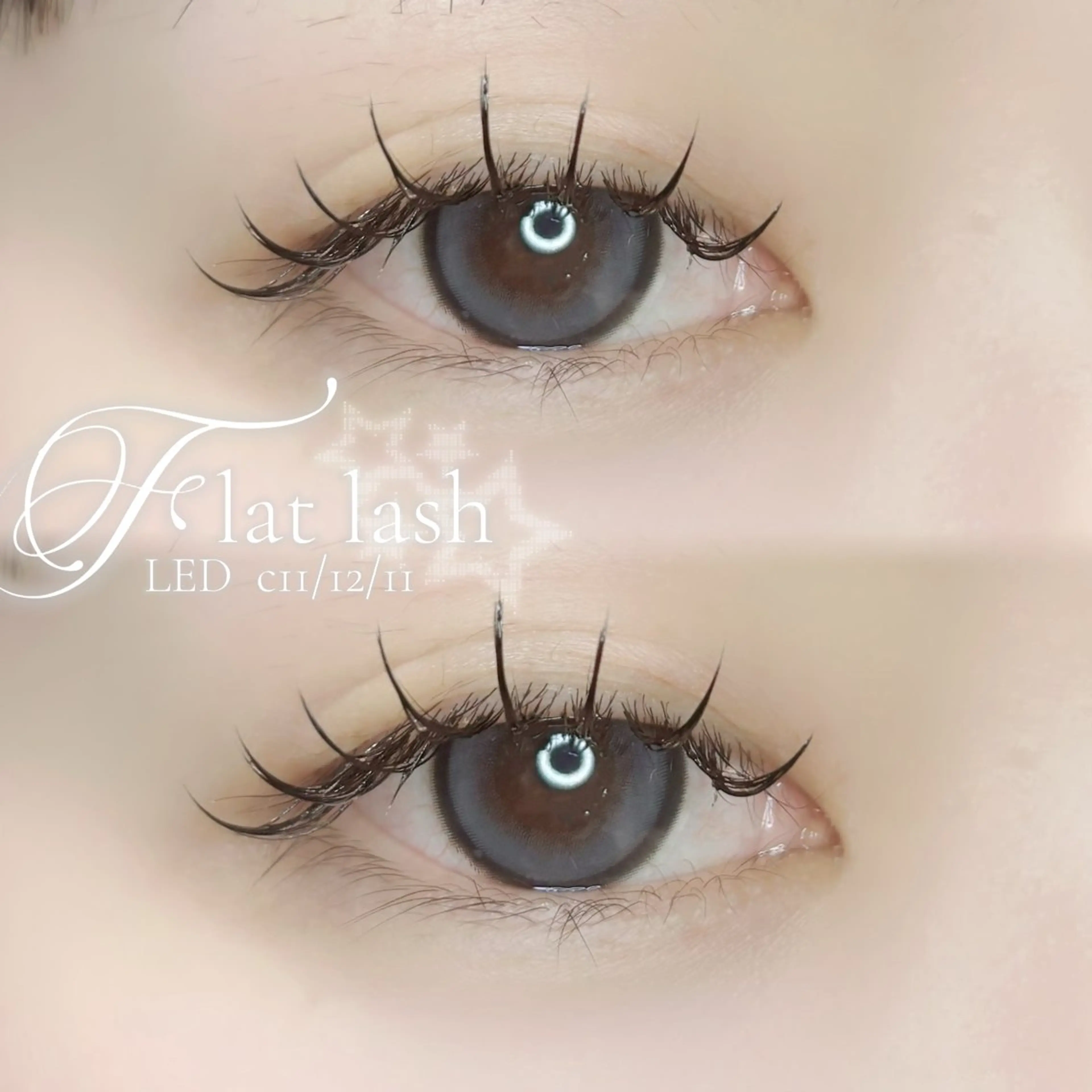 マツエク・マツパ マツエク 🫧Lia yumi🫧のマツエク・マツパデザイン