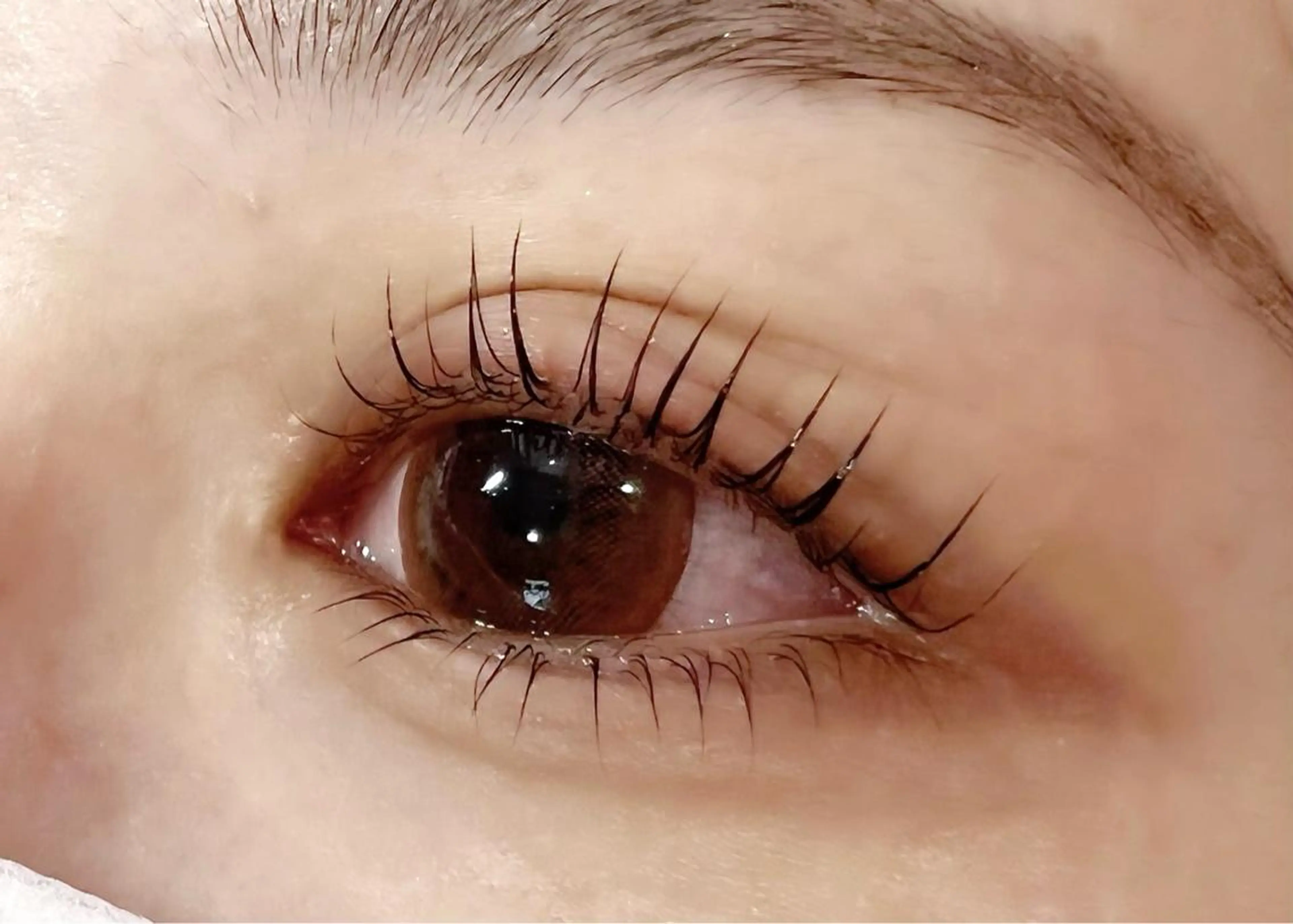 マツエク・マツパ パリジェンヌラッシュリフト Celeste Venus所属・🧸Celeste Venusのマツエク・マツパデザイン