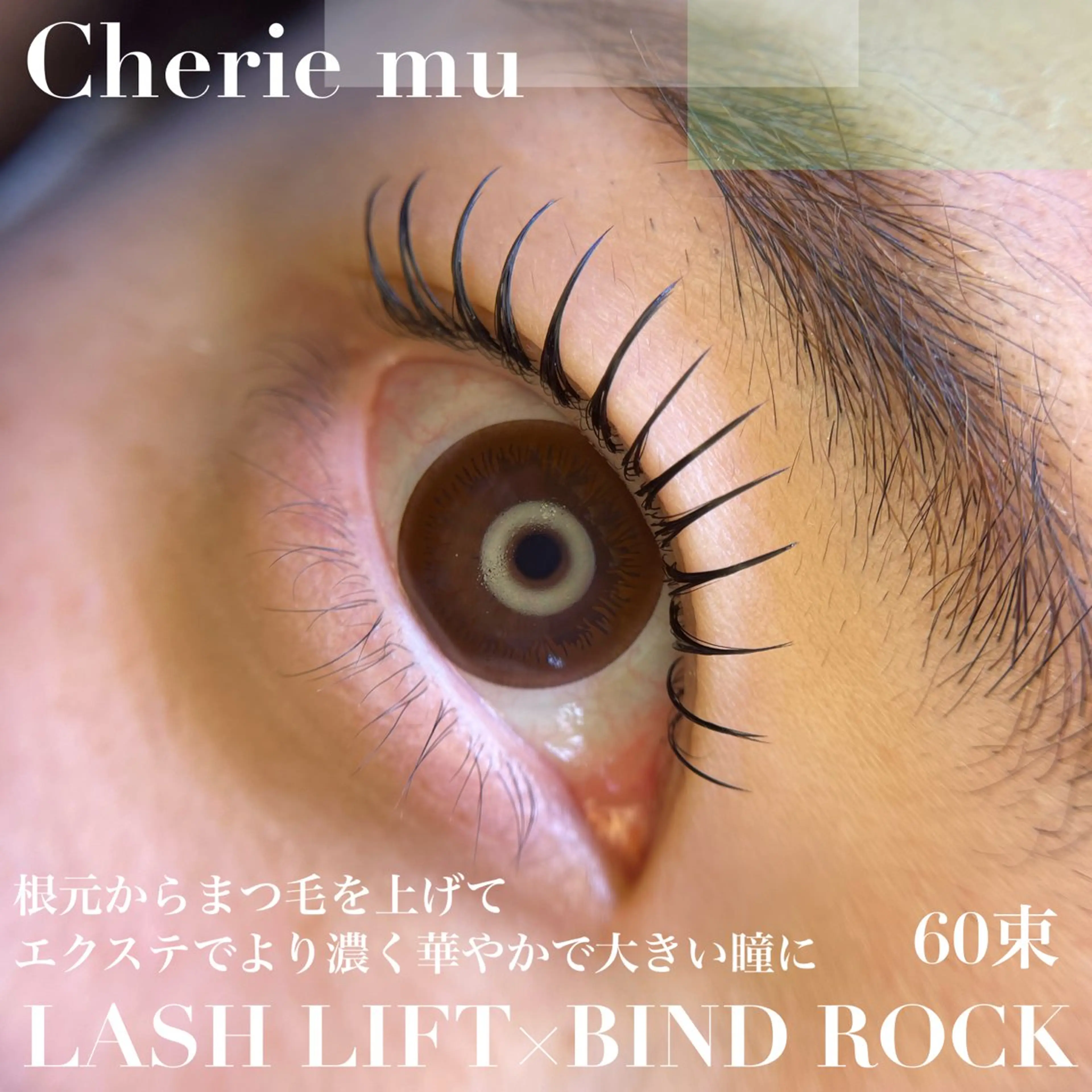 &Healthy大人気❤️🔥バインドロック/100束orLED/120本×まつ毛パーマ¥9000すぐ予約-¥500の写真