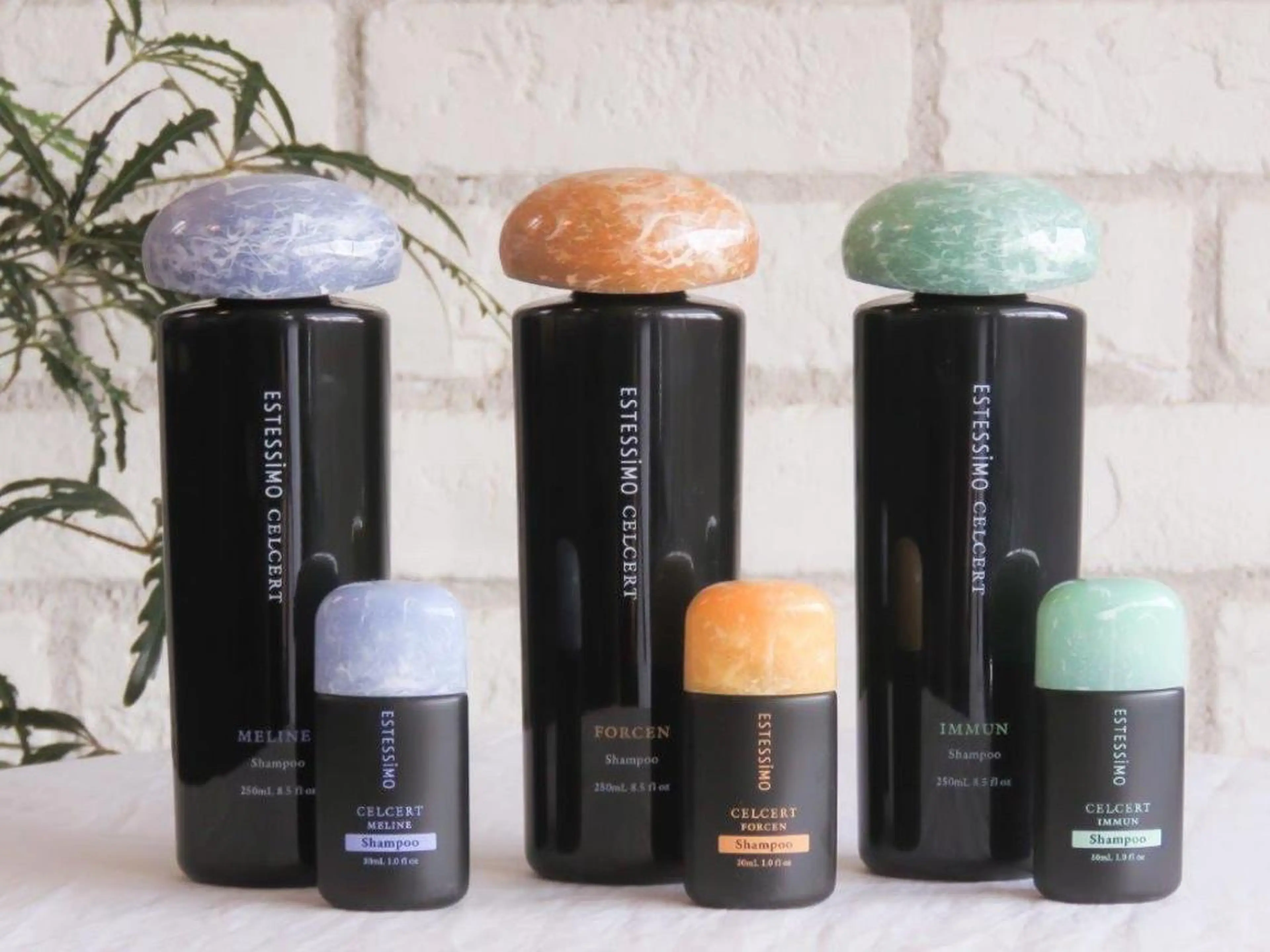 ショート カラー ヘアアレンジ stylist/蛯谷 珠里のヘアスタイル