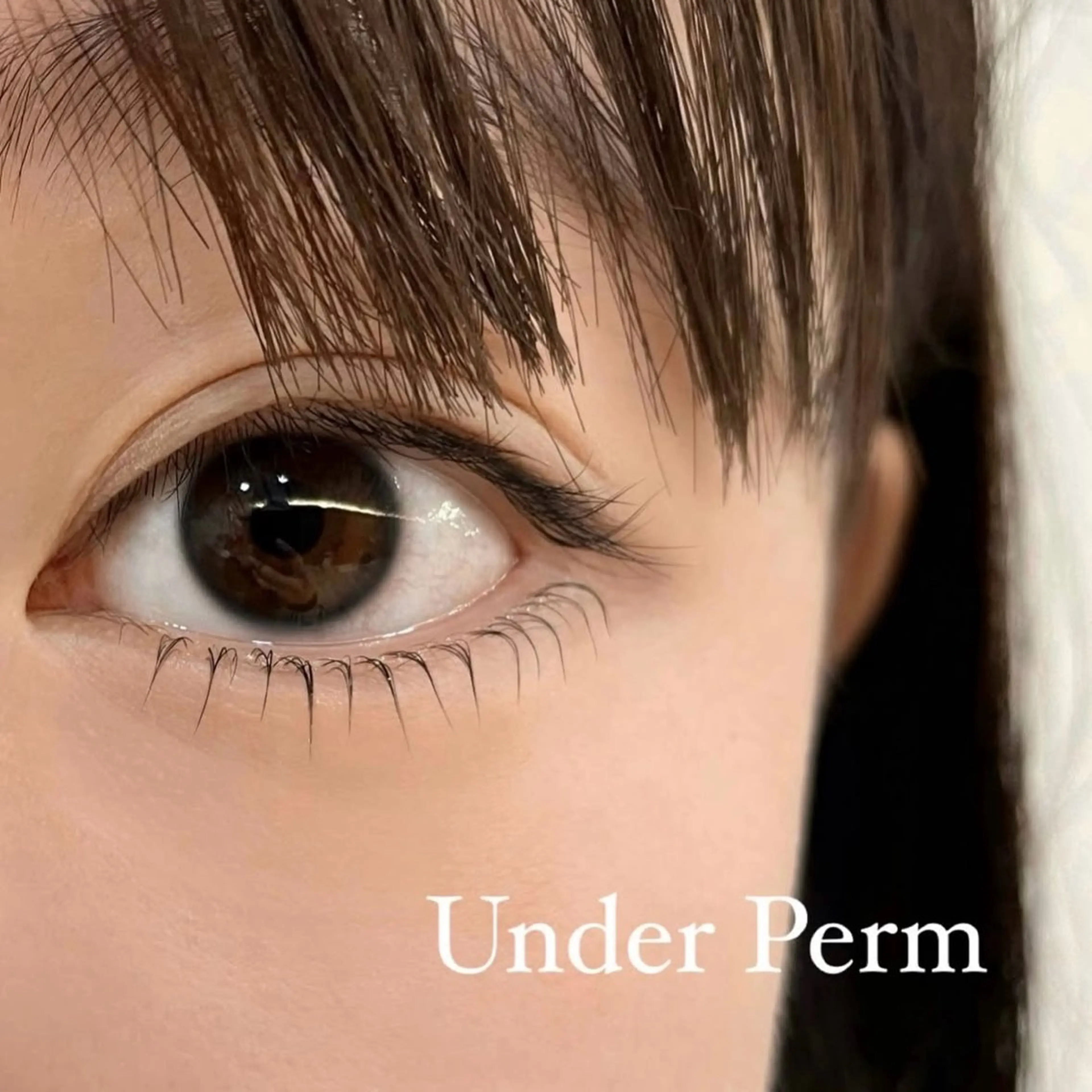 マツエク・マツパ まつげパーマ 下まつげエクステ マツパ 下まつげパーマが 得意なサロン✩のマツエク・マツパデザイン