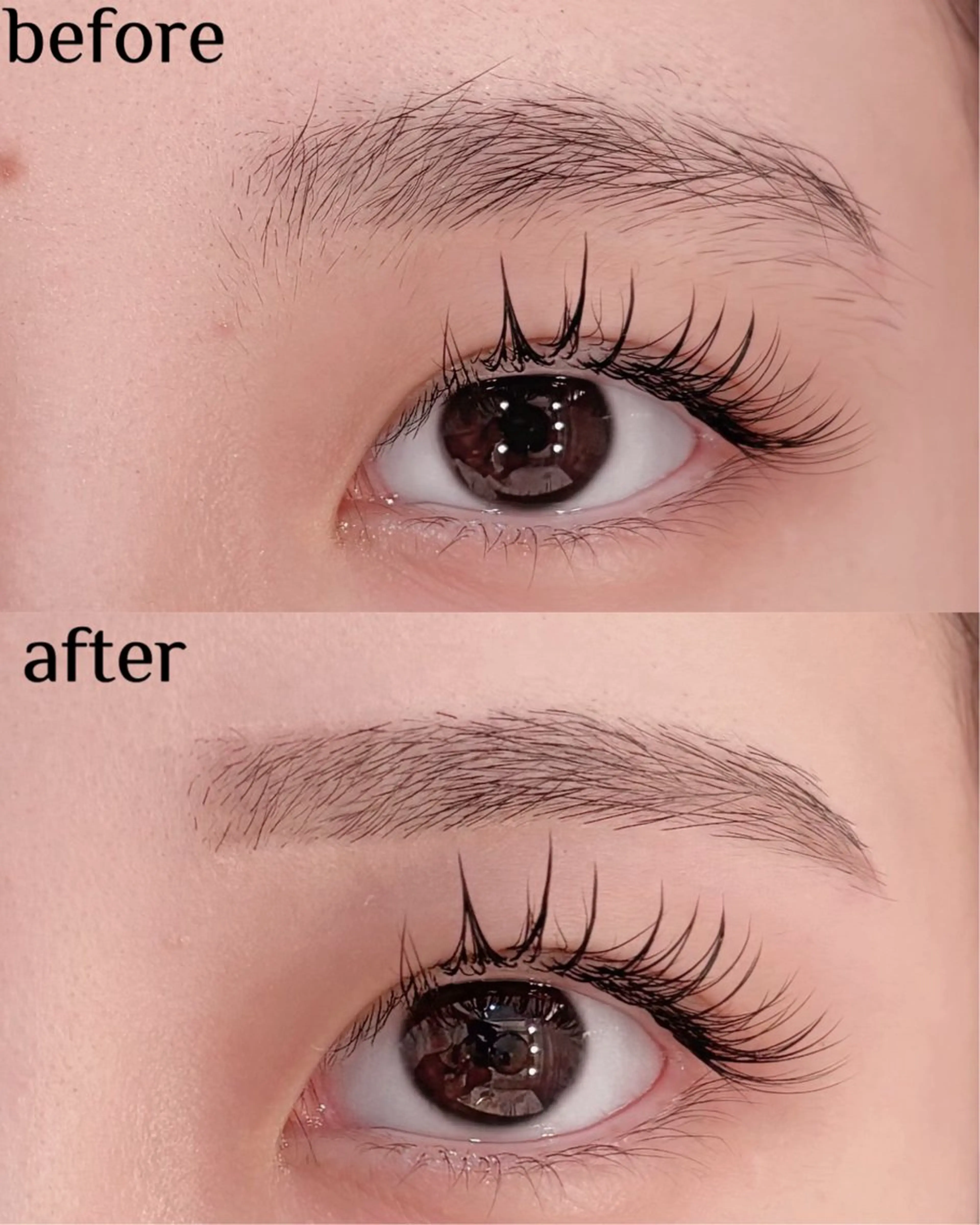 眉毛Wax+間引き✨の写真