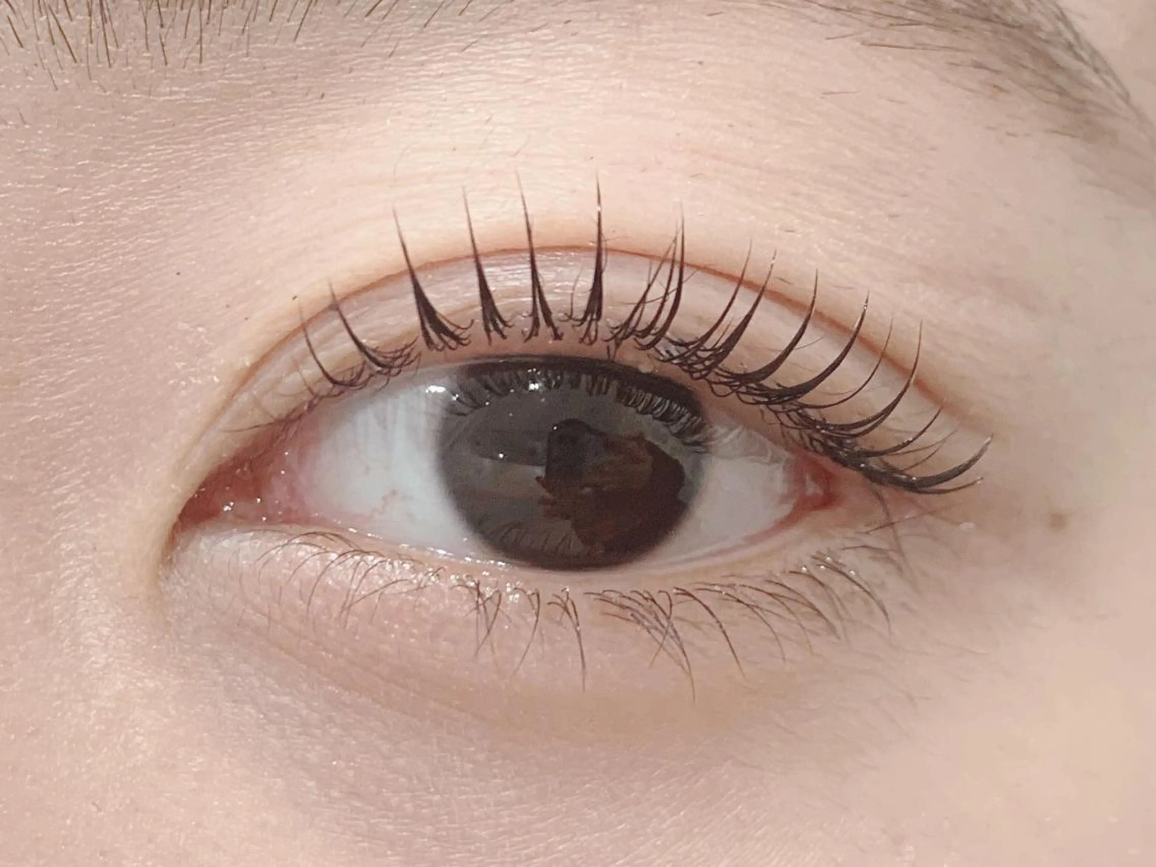 マツエク・マツパ マツパ hoshi kuu+r上野店のマツエク・マツパデザイン