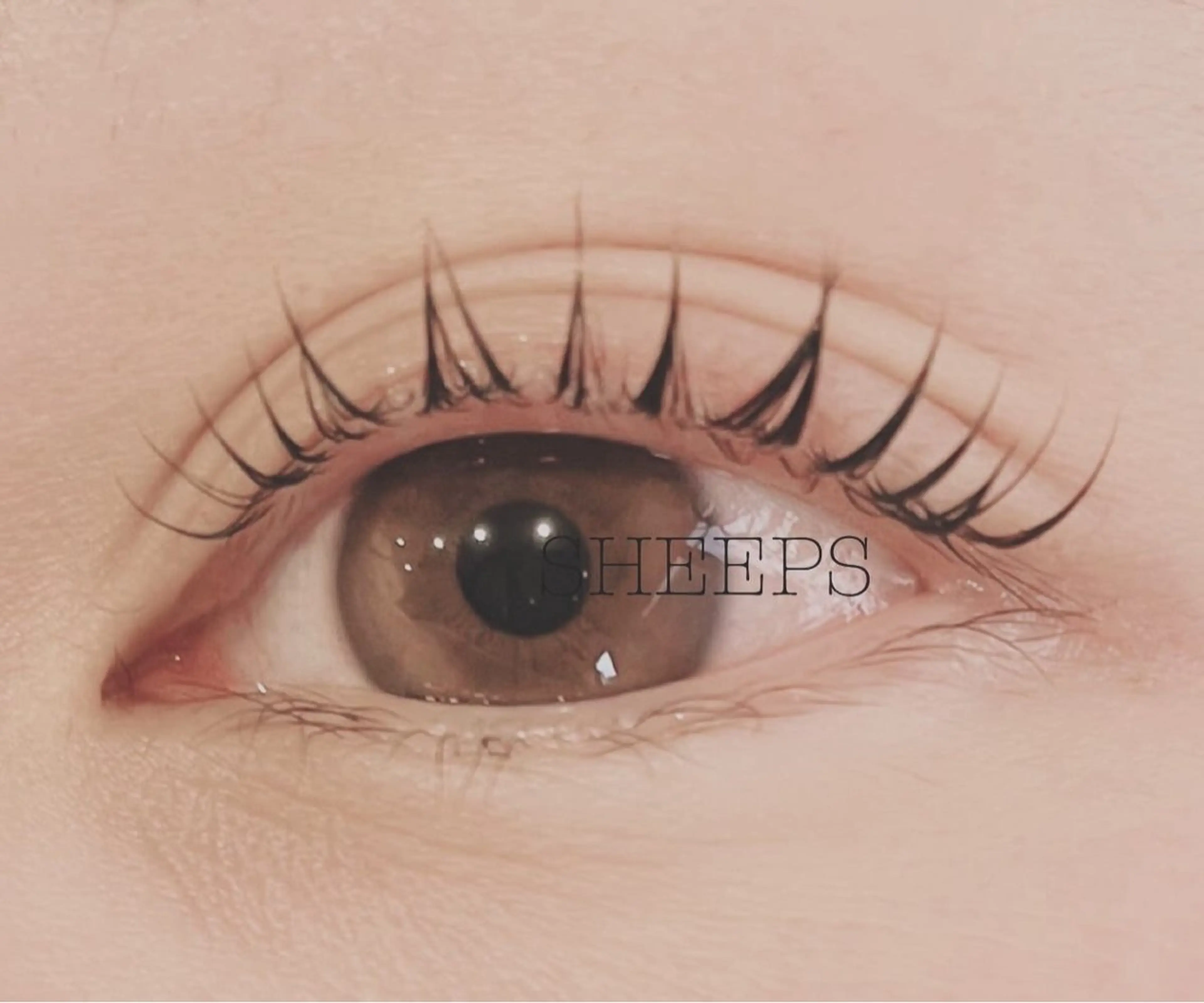 マツエク・マツパ 一重×まつ毛パーマ SHEEPS 小島のマツエク・マツパデザイン